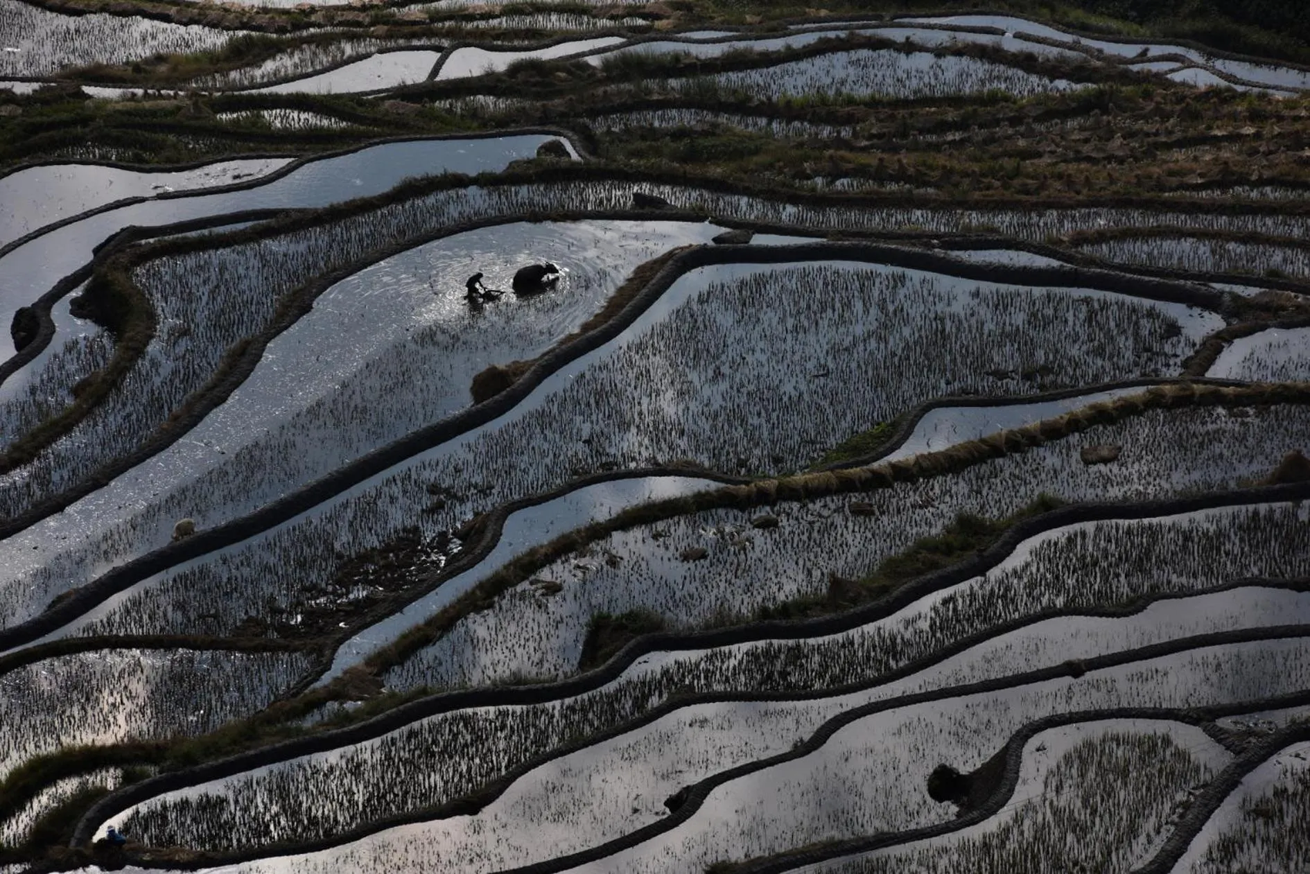 Landmark view in Beyond The Cloud