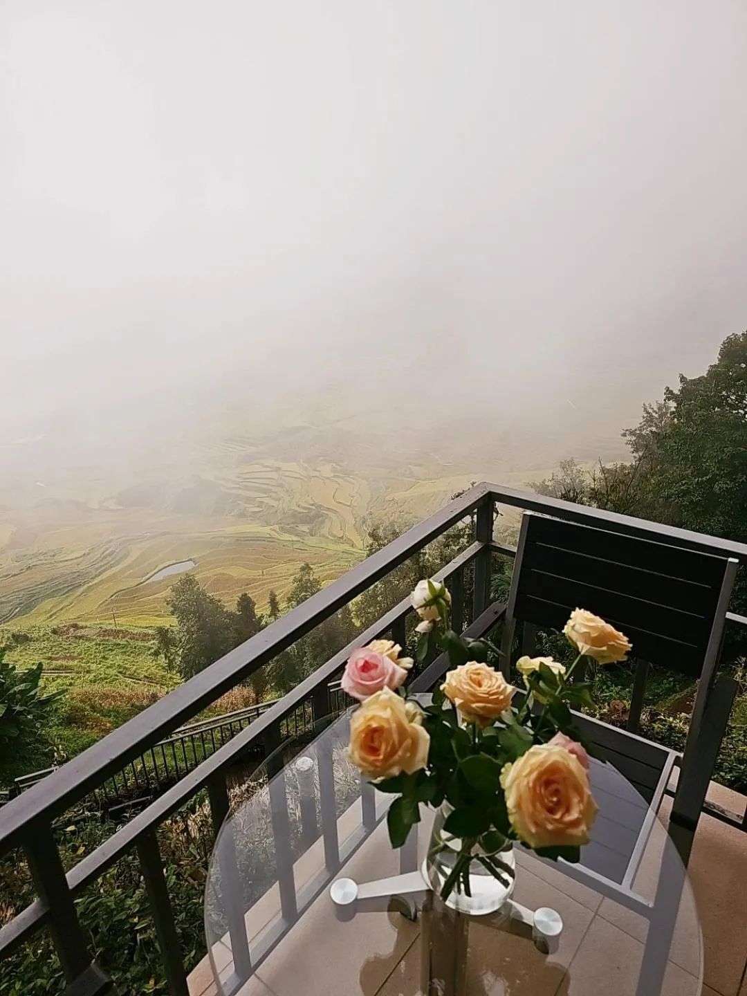 View (from property/room) in Beyond The Cloud