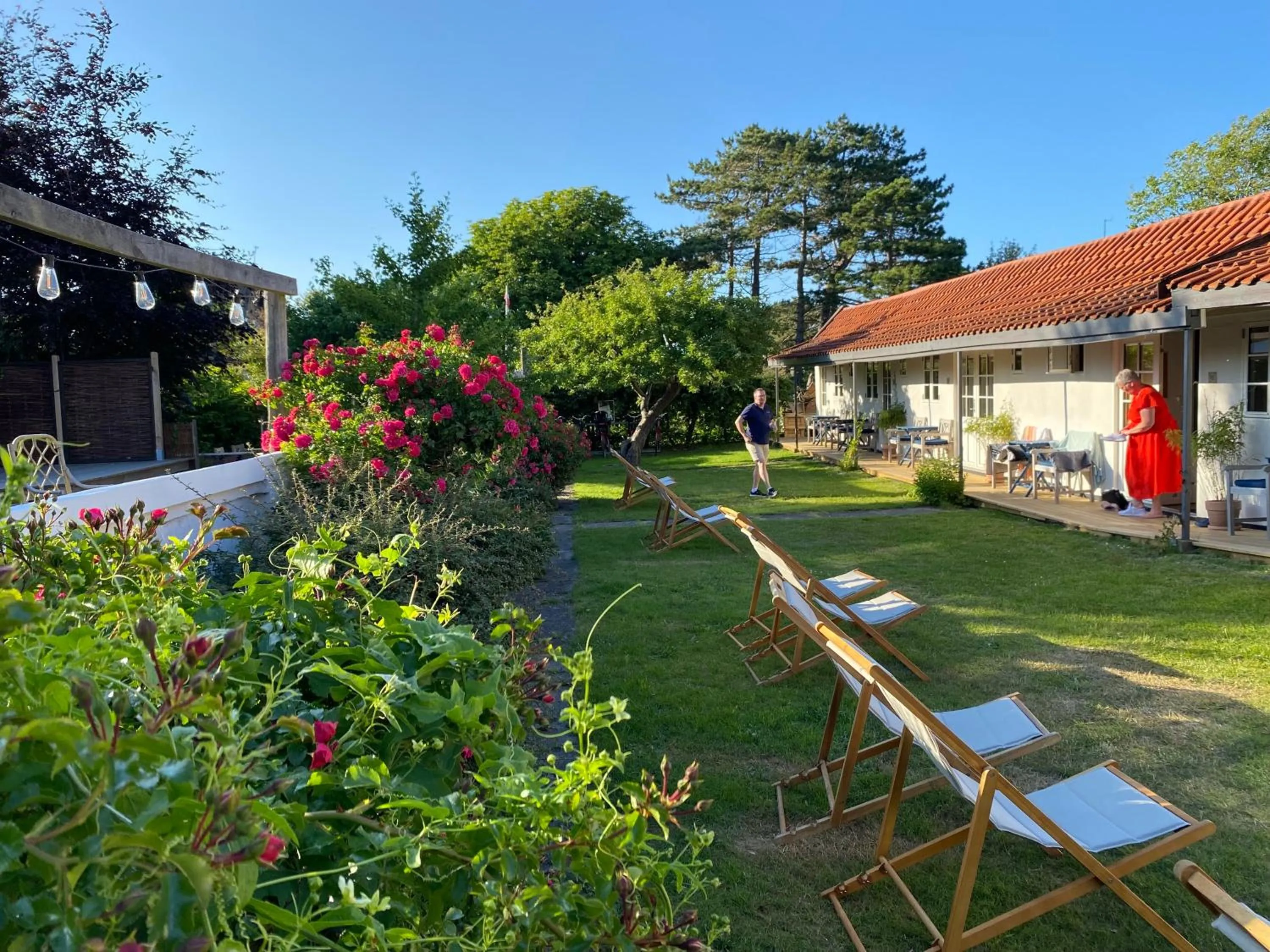 Garden in Liseleje Badehotel