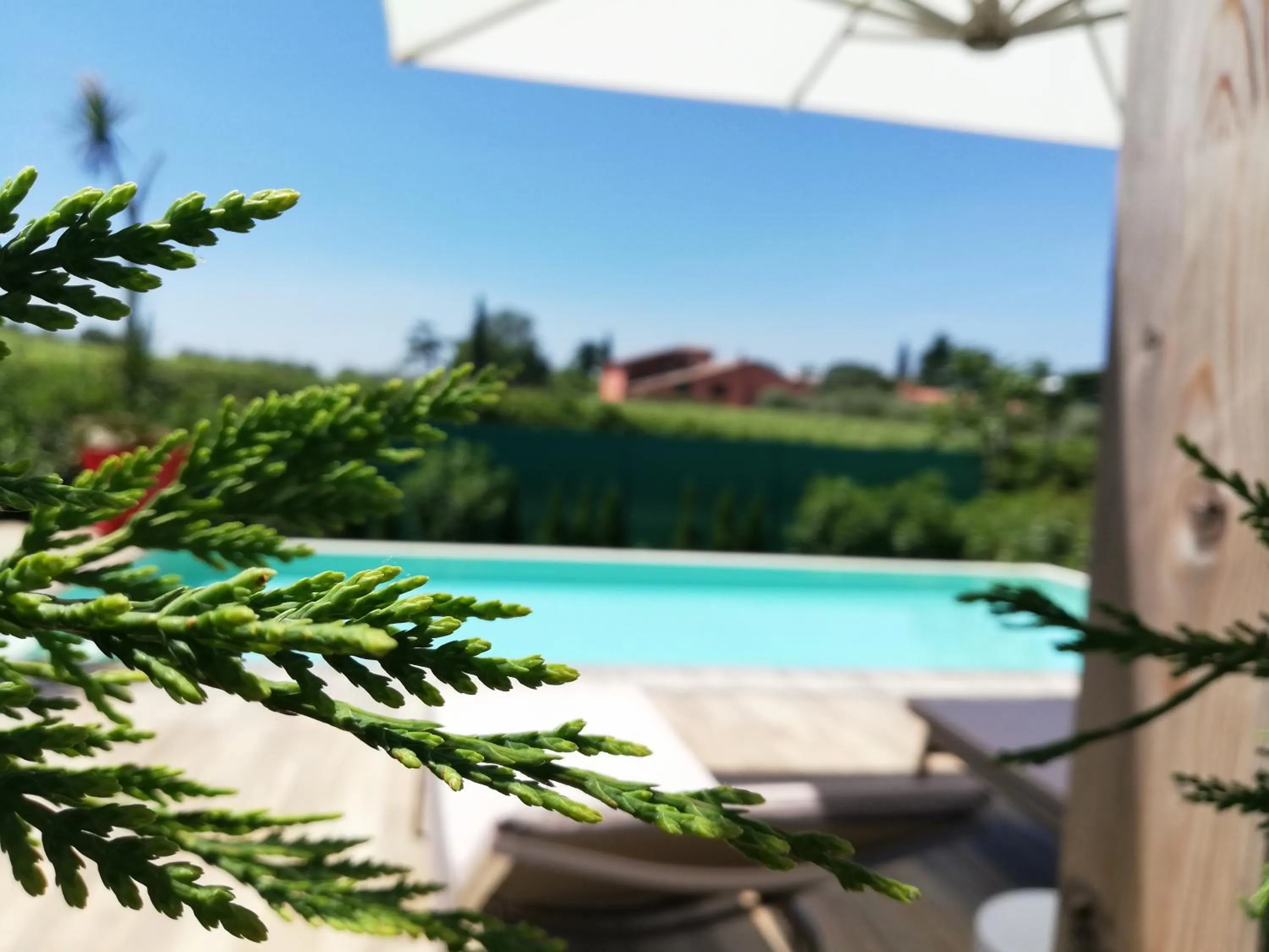 Decorative detail in B&B Villa Pelèr