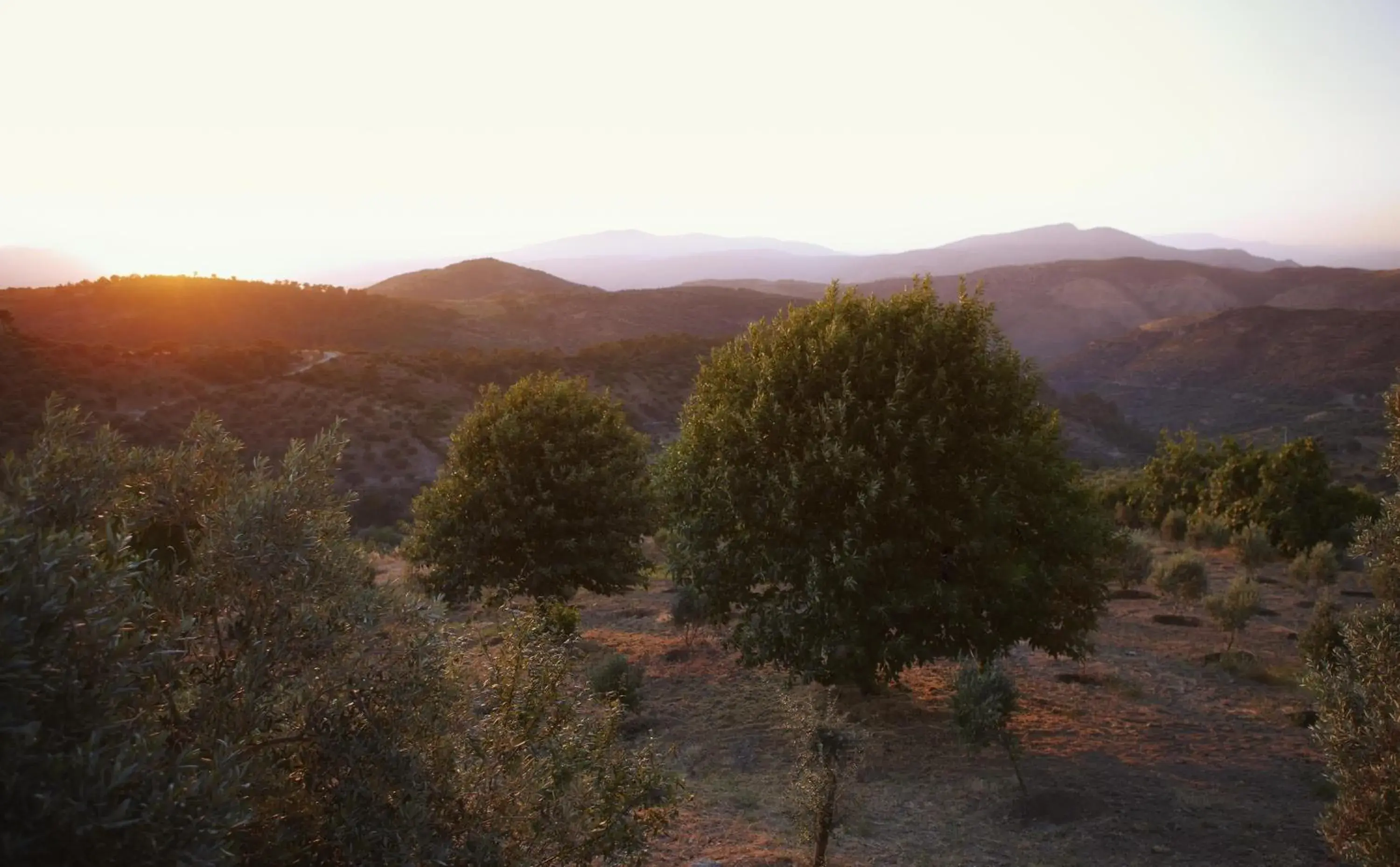 View (from property/room) in Gullu Konaklari View (from property/room) in Gullu Konaklari