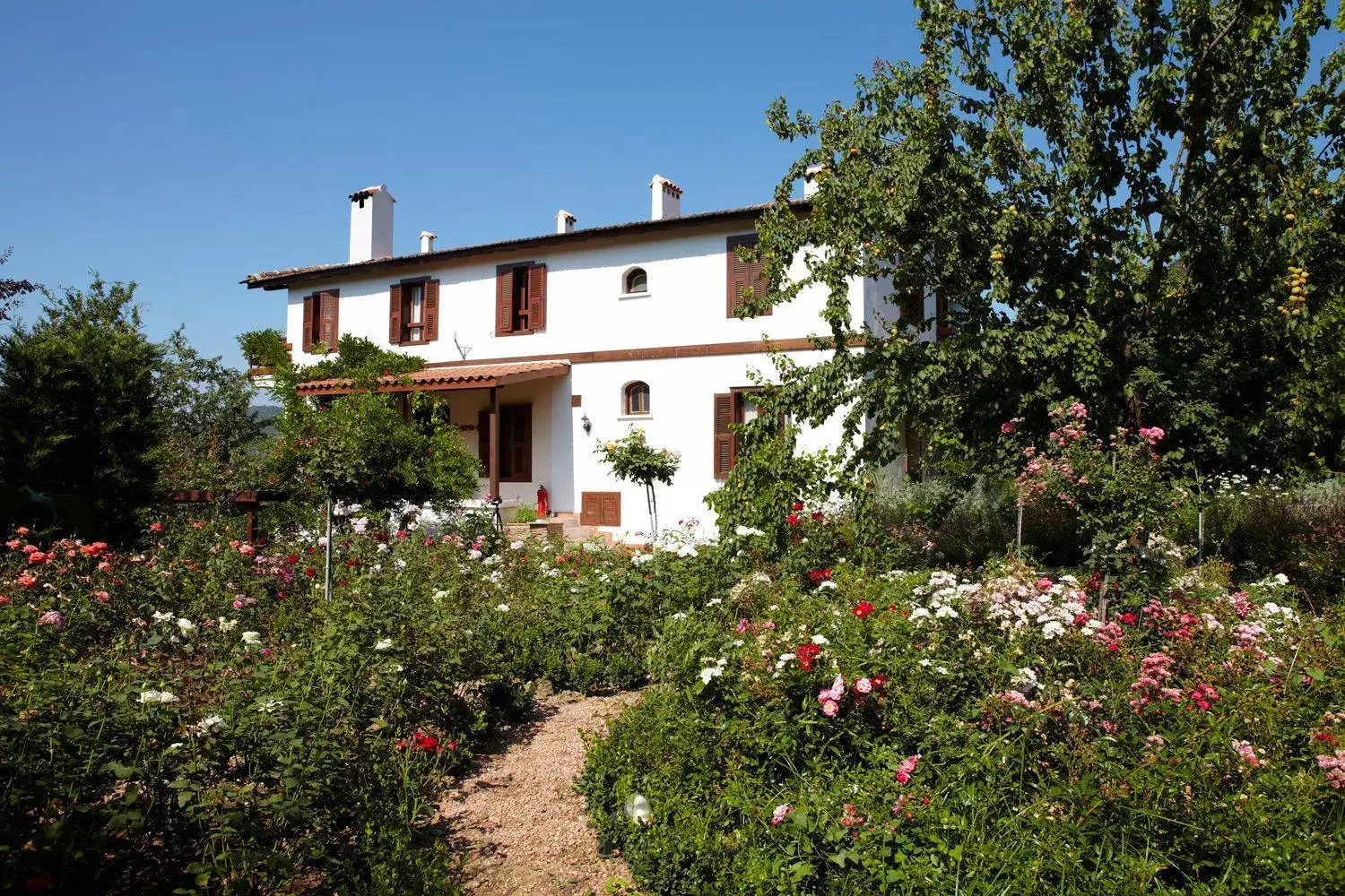 Property building in Gullu Konaklari Property building in Gullu Konaklari