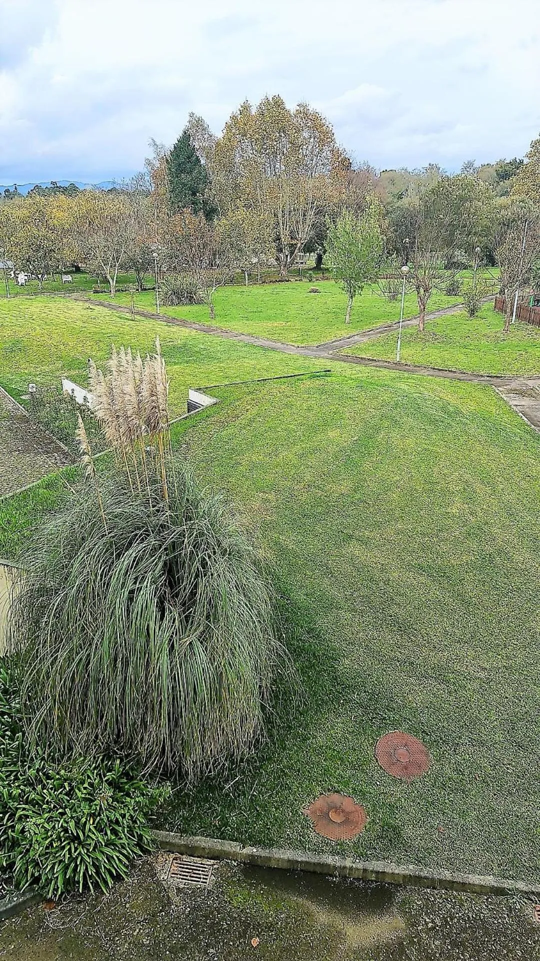 View (from property/room) in INATEL Cerveira Hotel