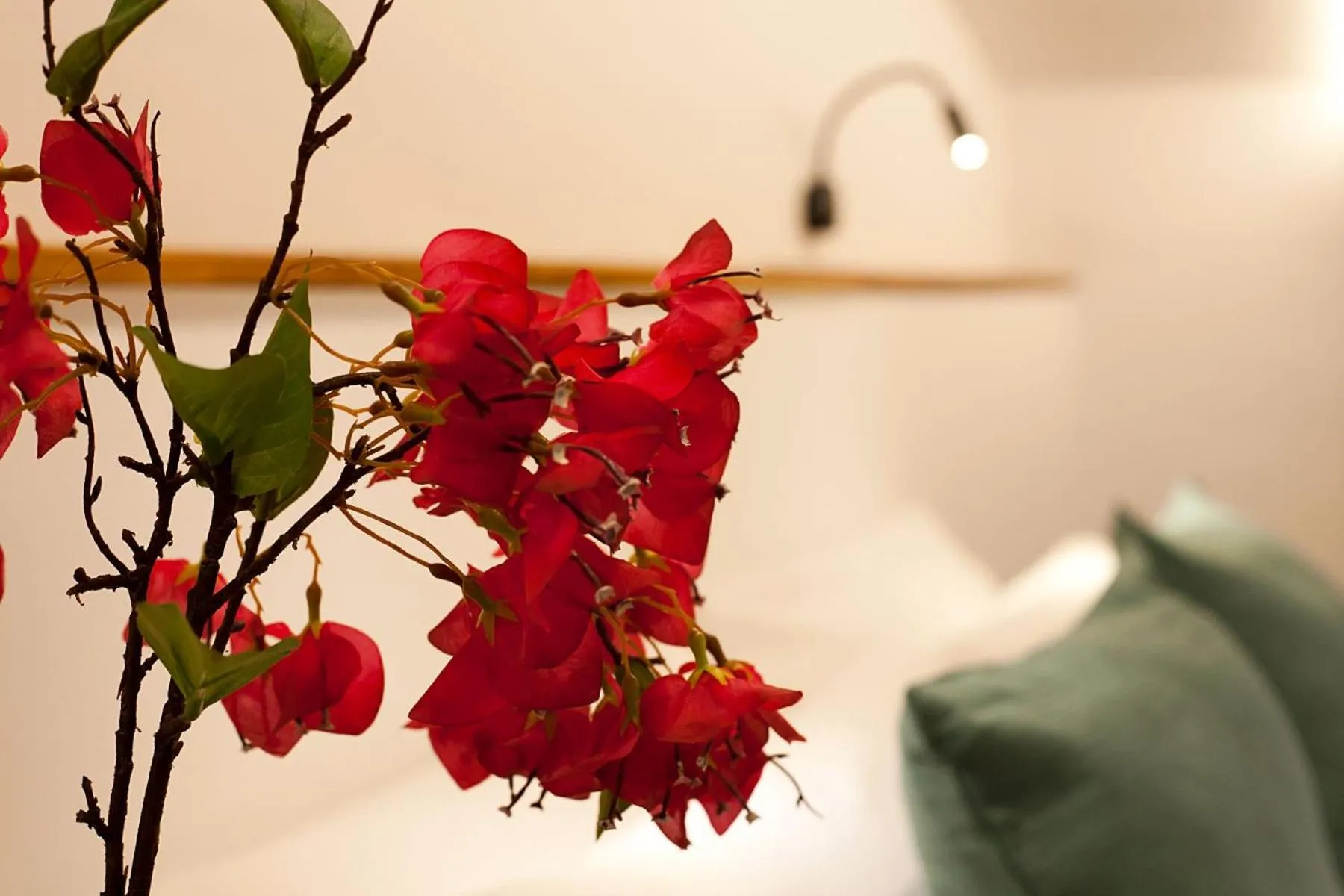 Area and facilities in My Rooms Artà Adults Only by My Rooms Hotels TI