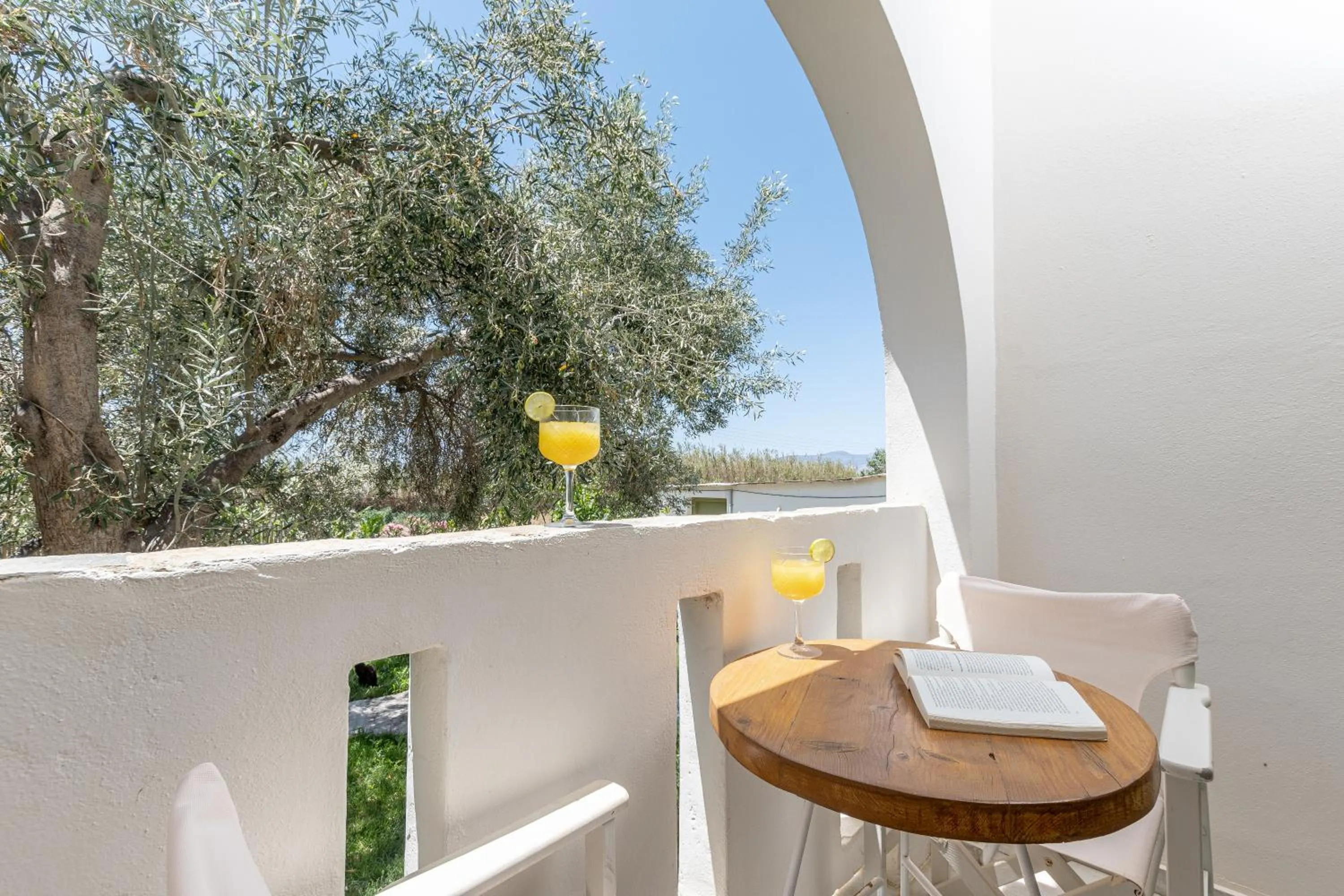 Balcony/Terrace in Studios Vrettos Beachfront Hotel