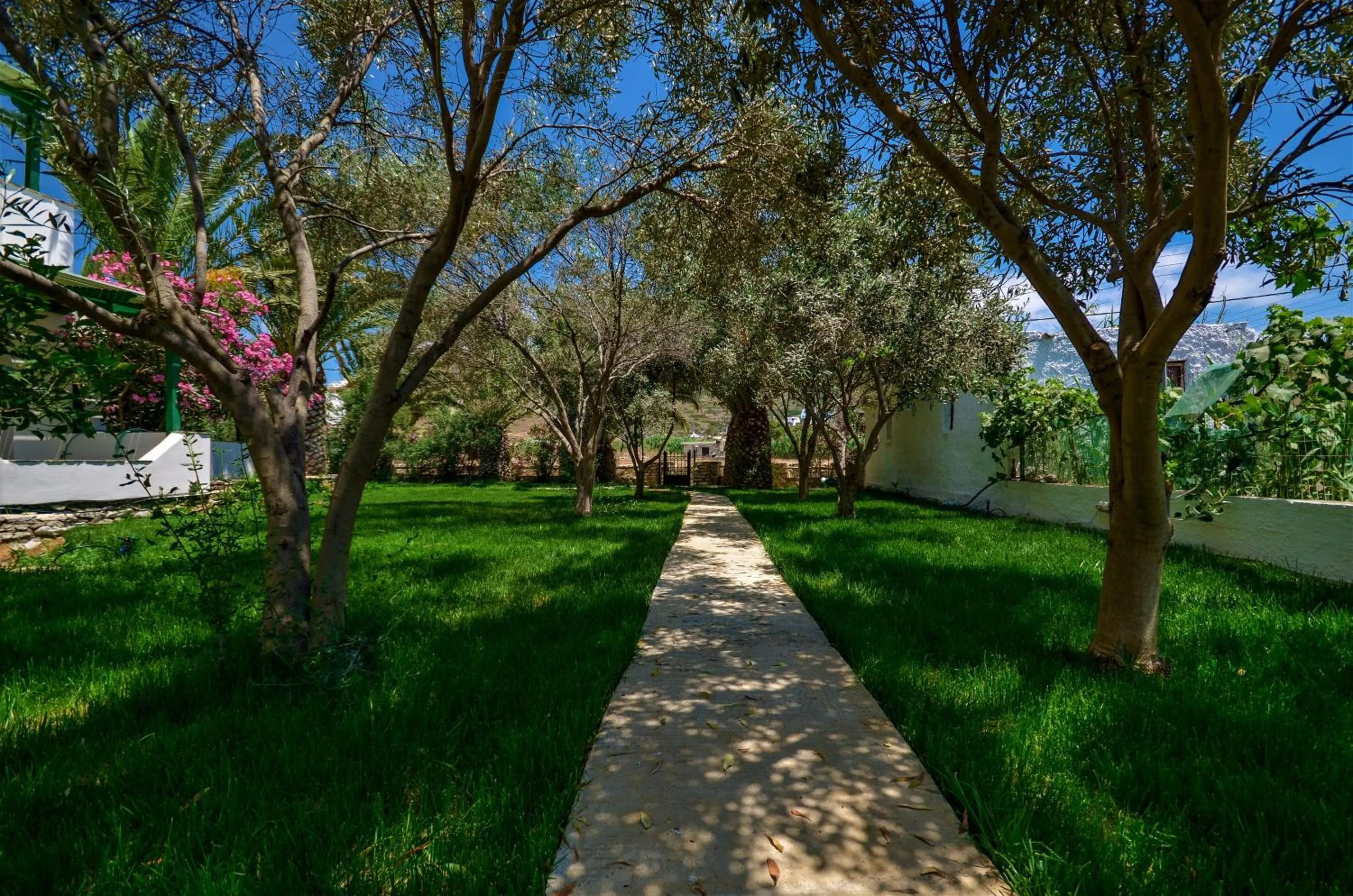 Garden in Studios Vrettos Beachfront Hotel