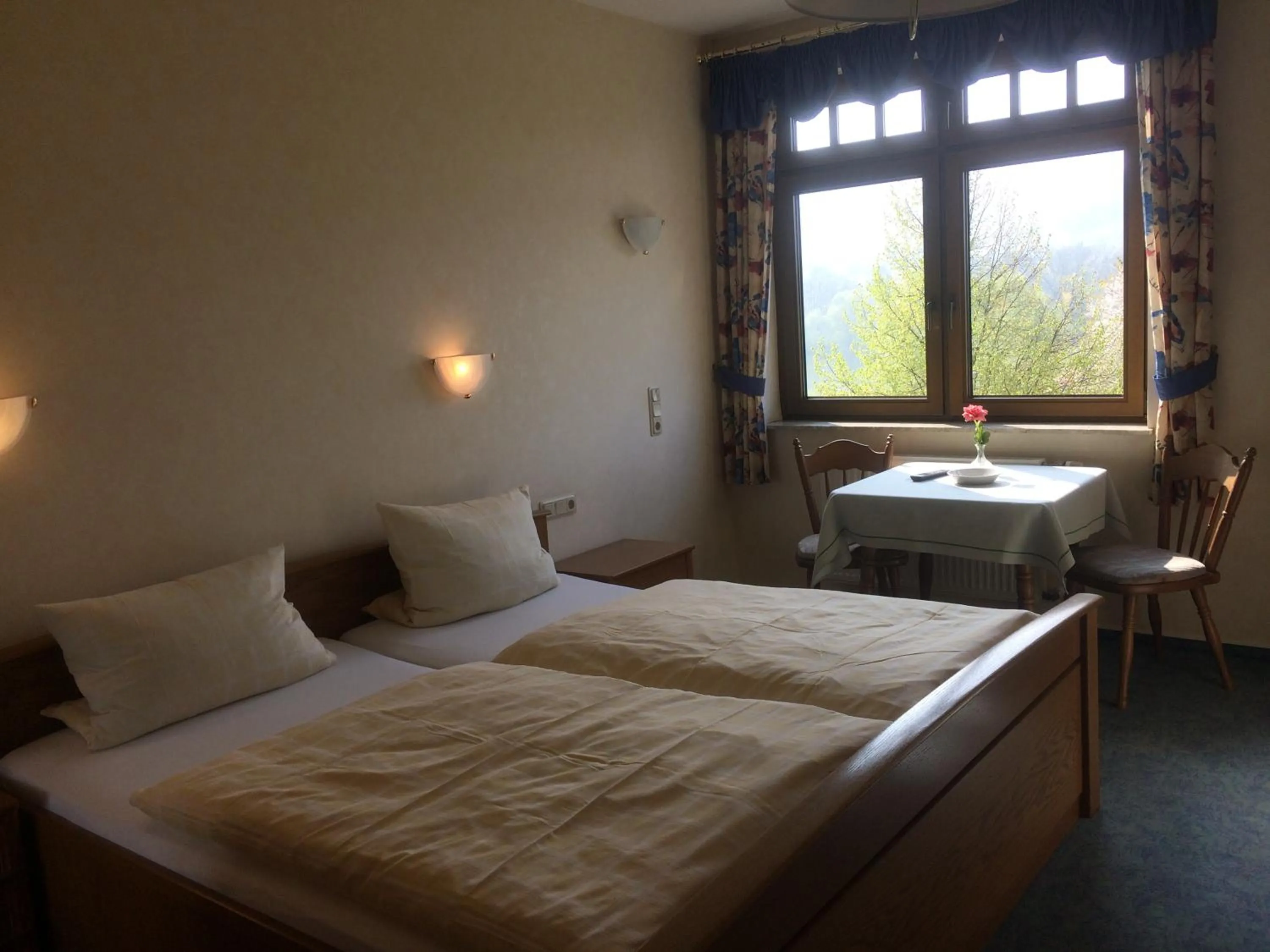Double Room in Moselhotel Lesura