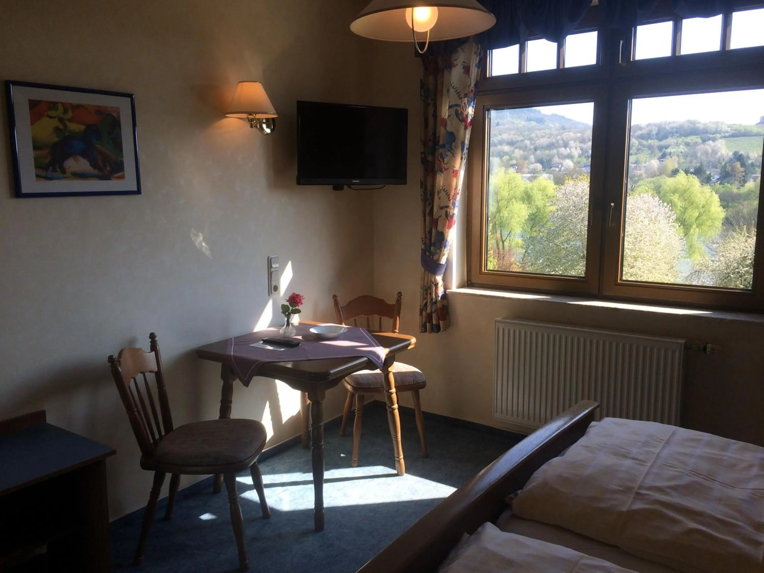 Moselhotel Lesura