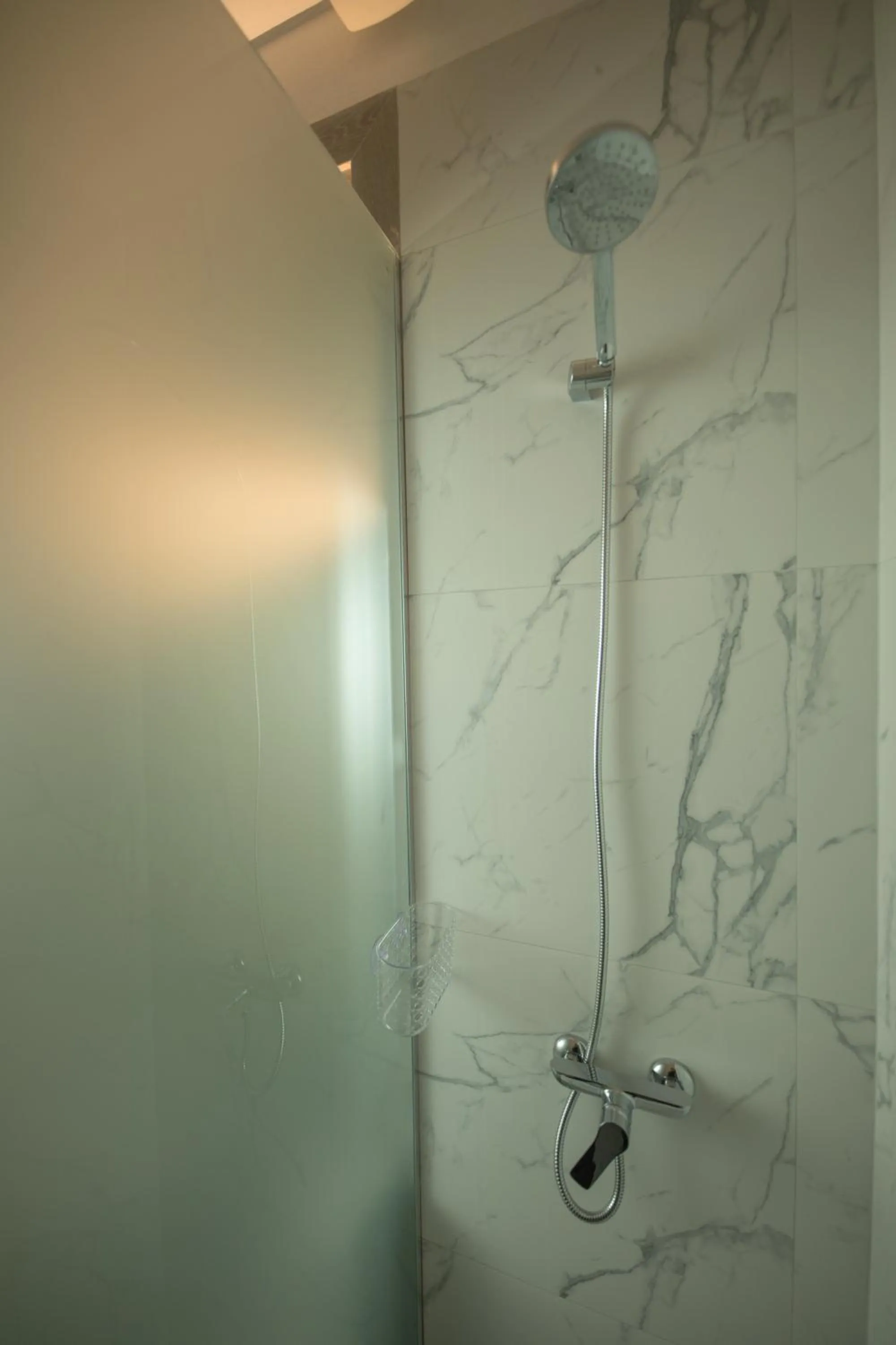 Shower in Mosaic Home