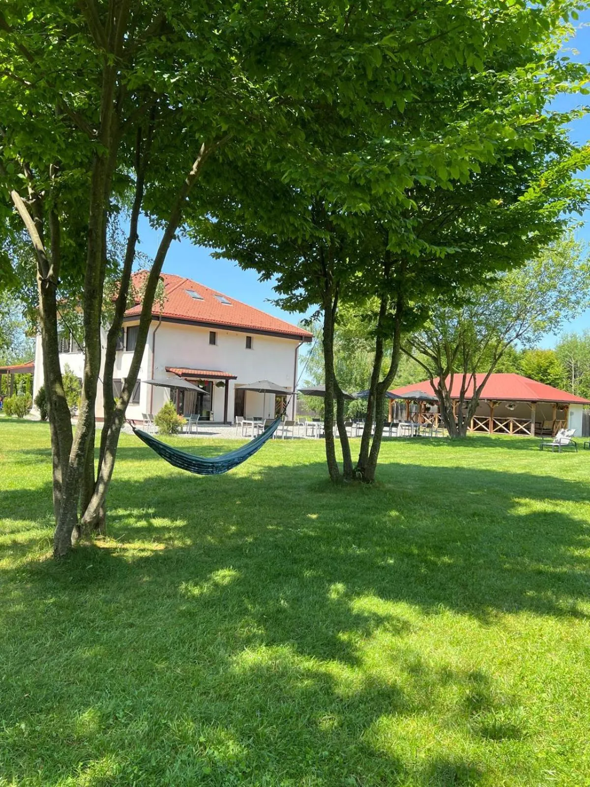 Garden in Pensiunea Negoiu