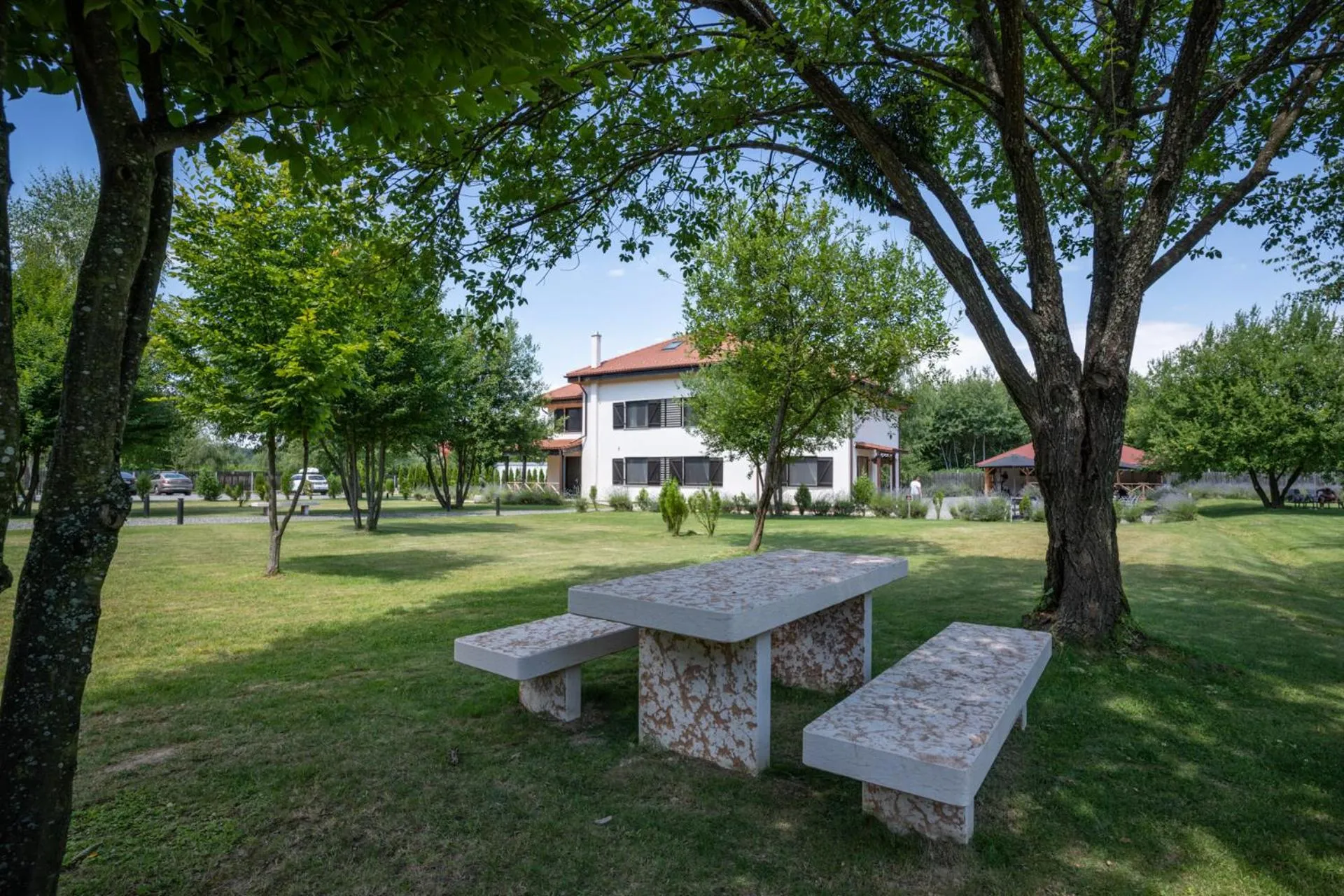 Garden in Pensiunea Negoiu