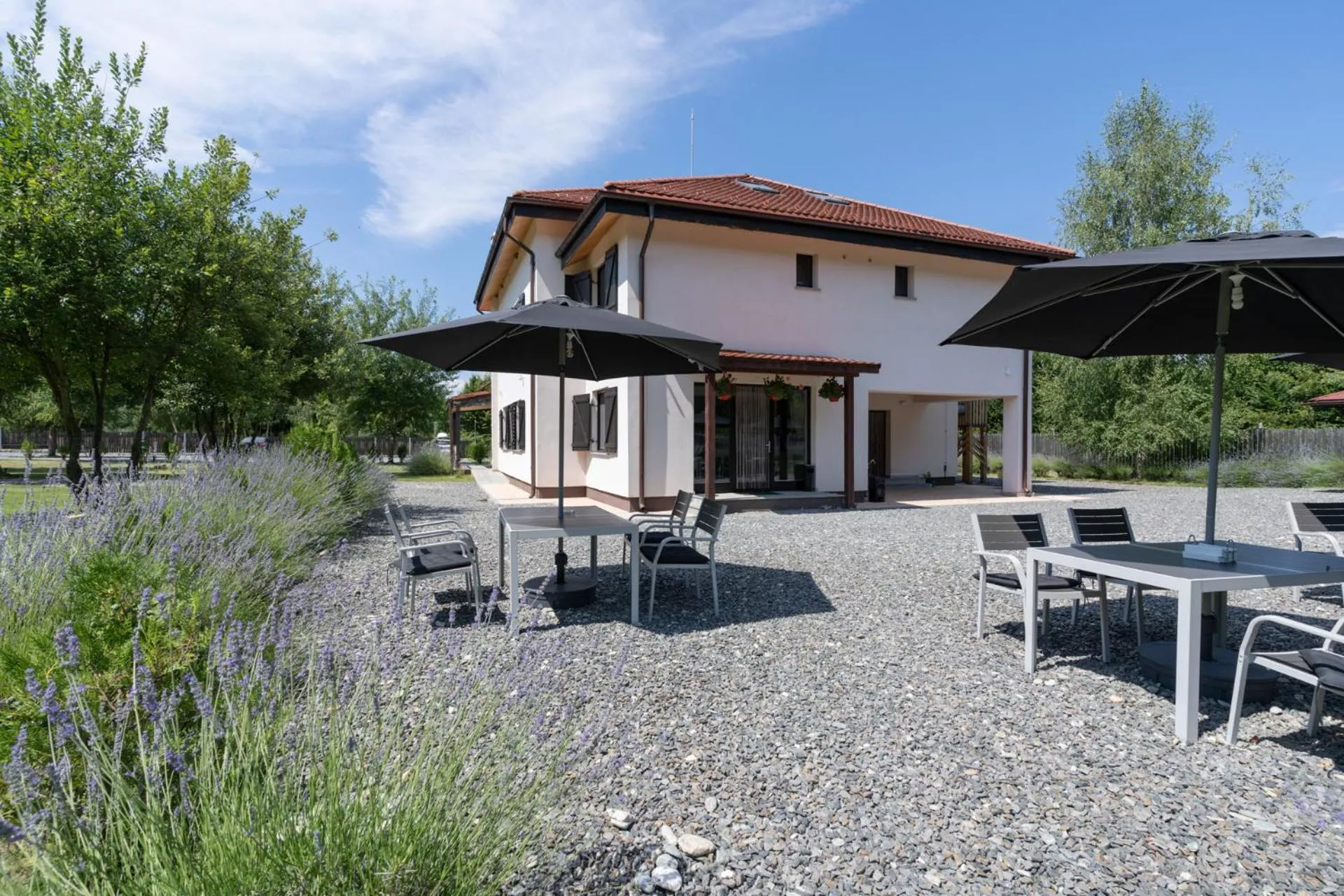 Balcony/Terrace in Pensiunea Negoiu