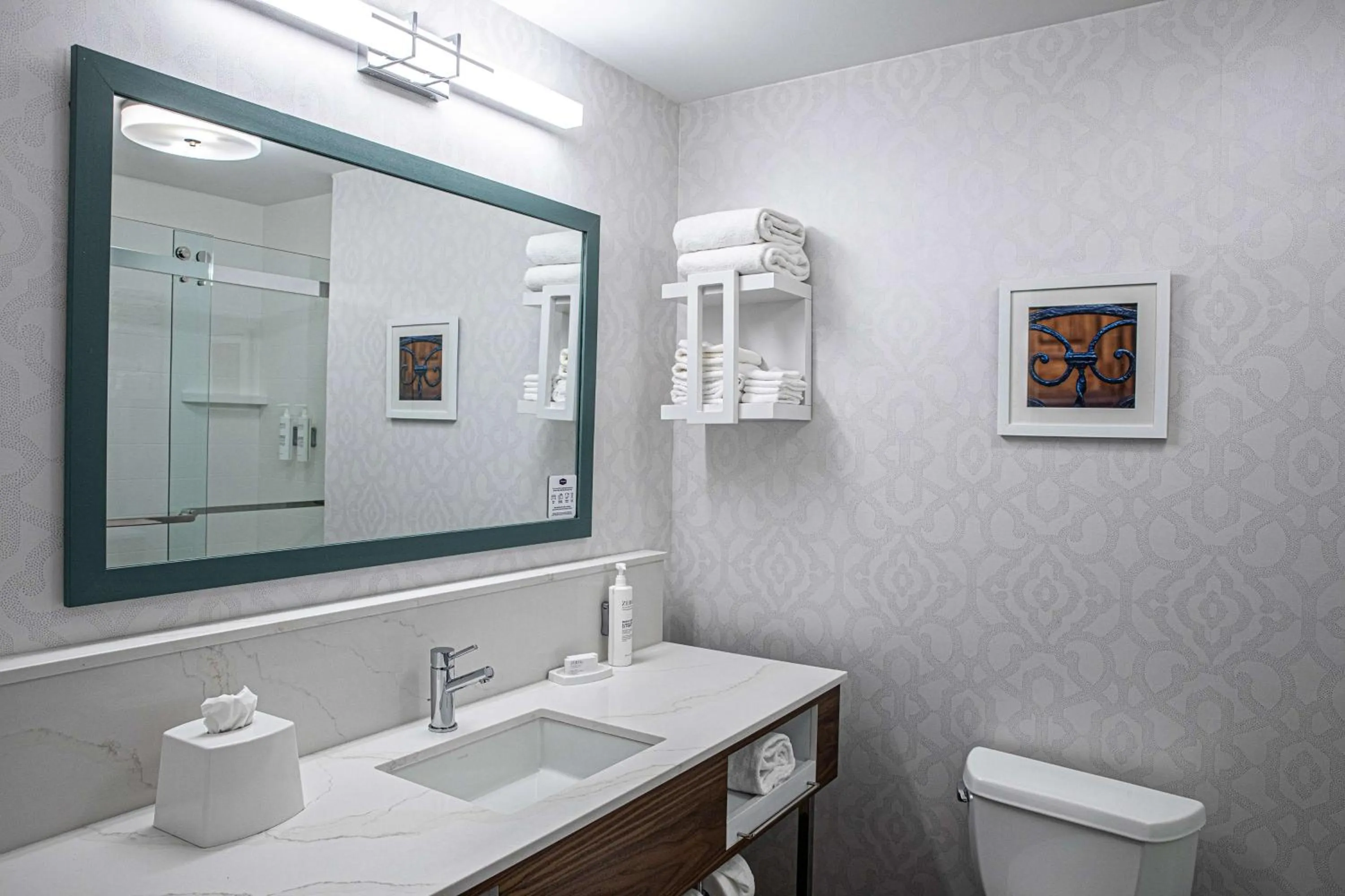 Bathroom in Hampton Inn & Suites Charleston-West Ashley