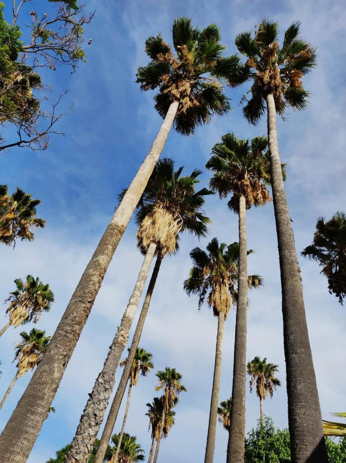 Hotel Sand´s San Luis