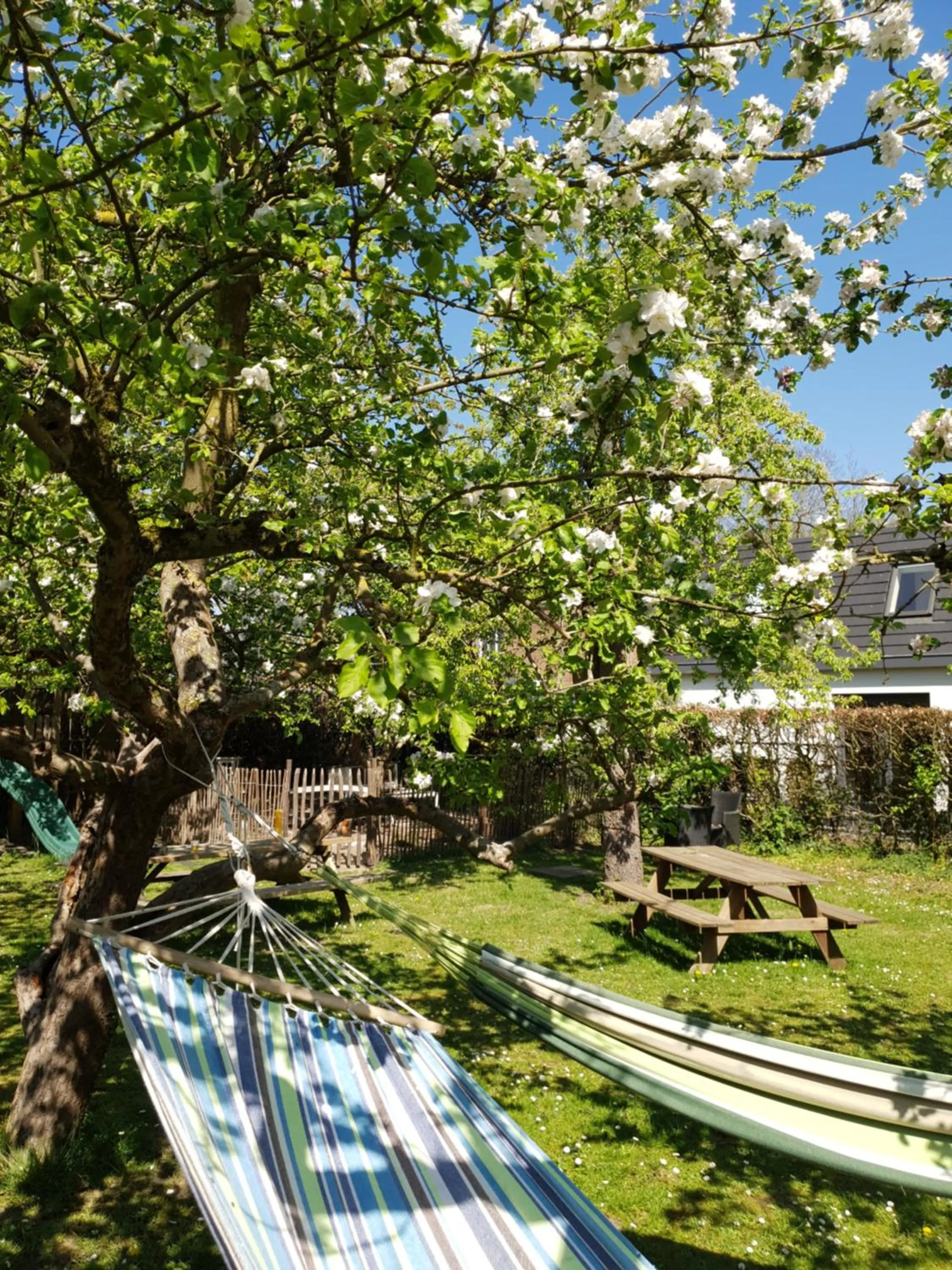 Garden in B&B Resort Tremele