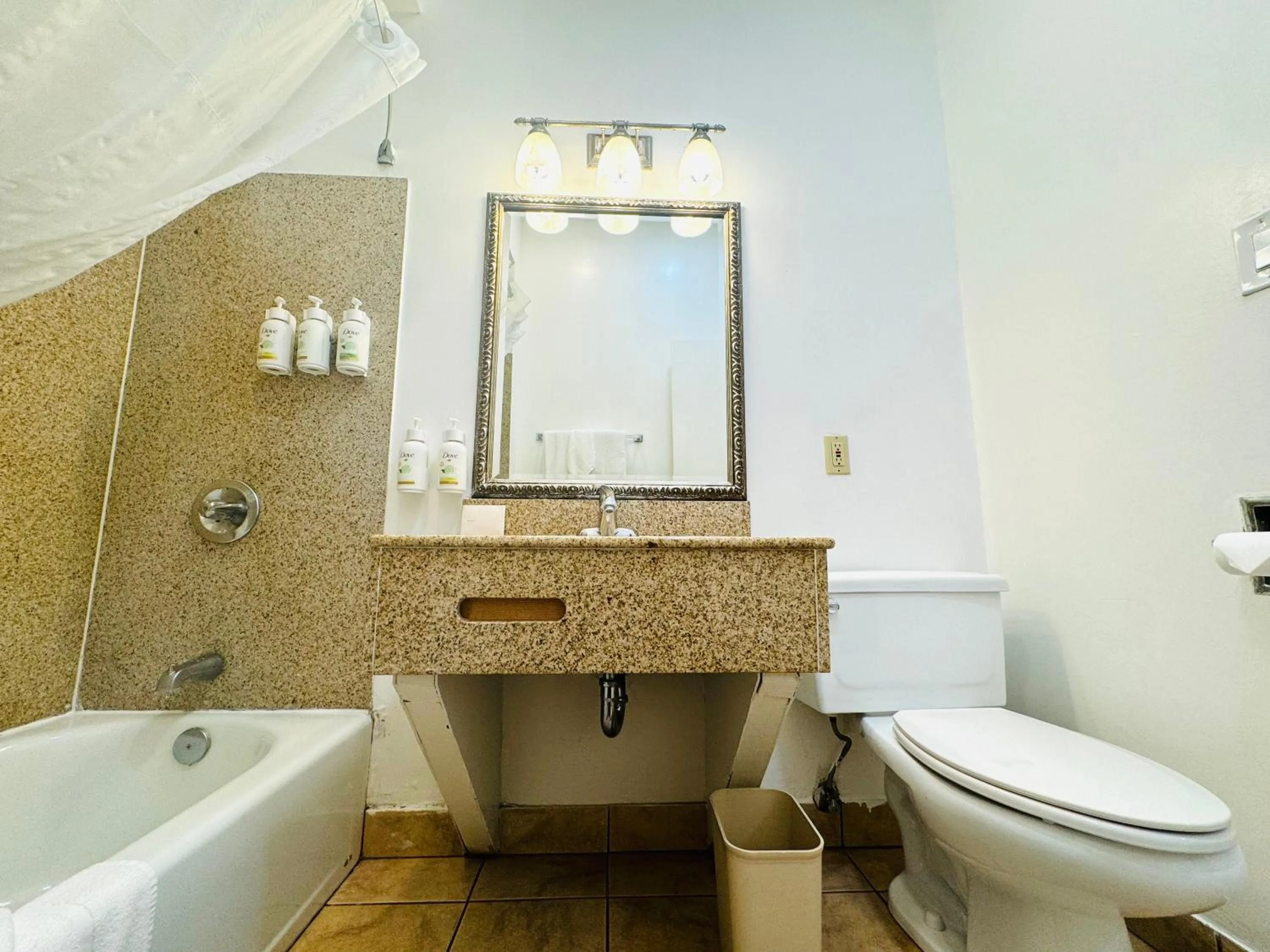 Toilet in Ramada by Wyndham San Diego Airport