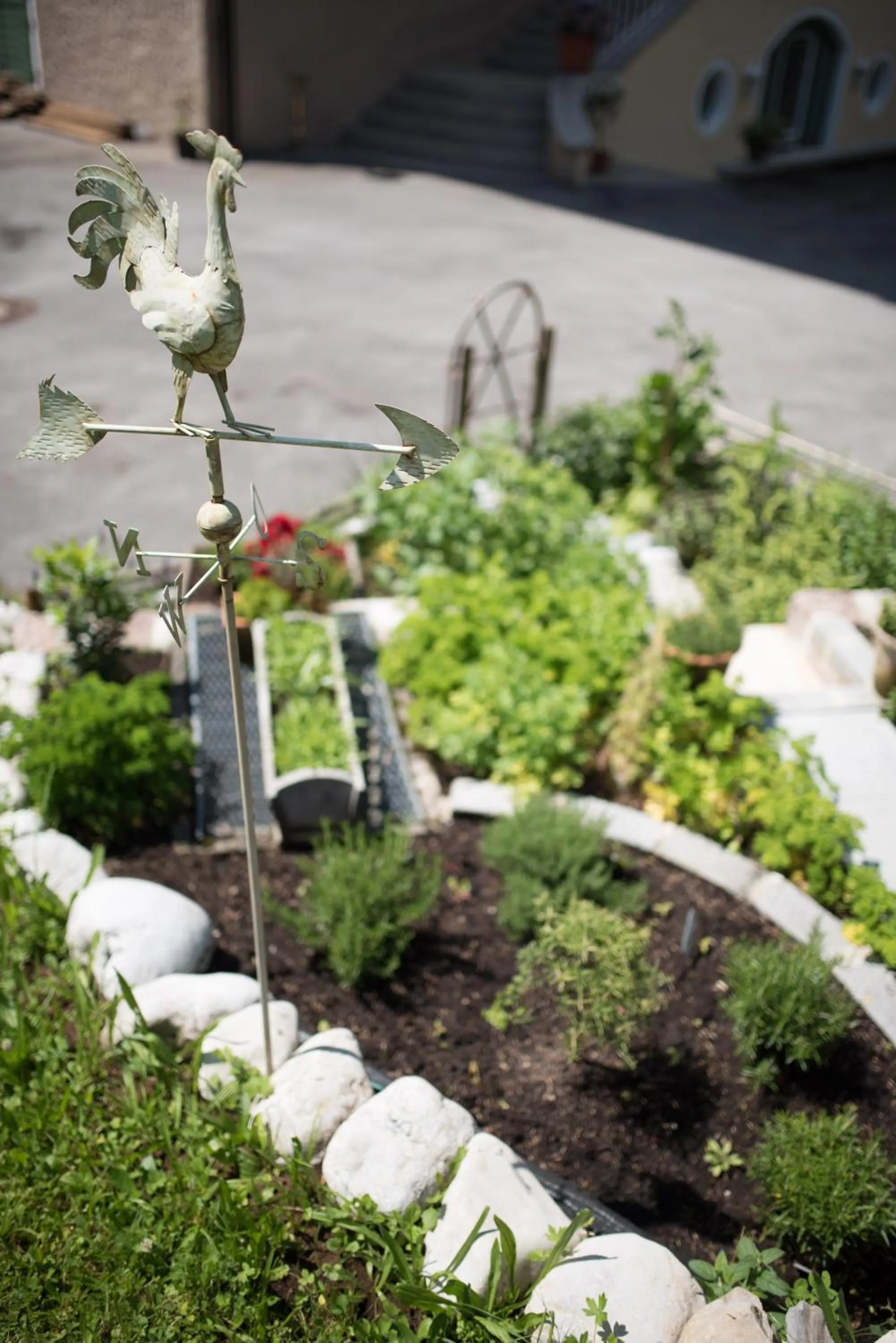 Garden in Villa Adolphine