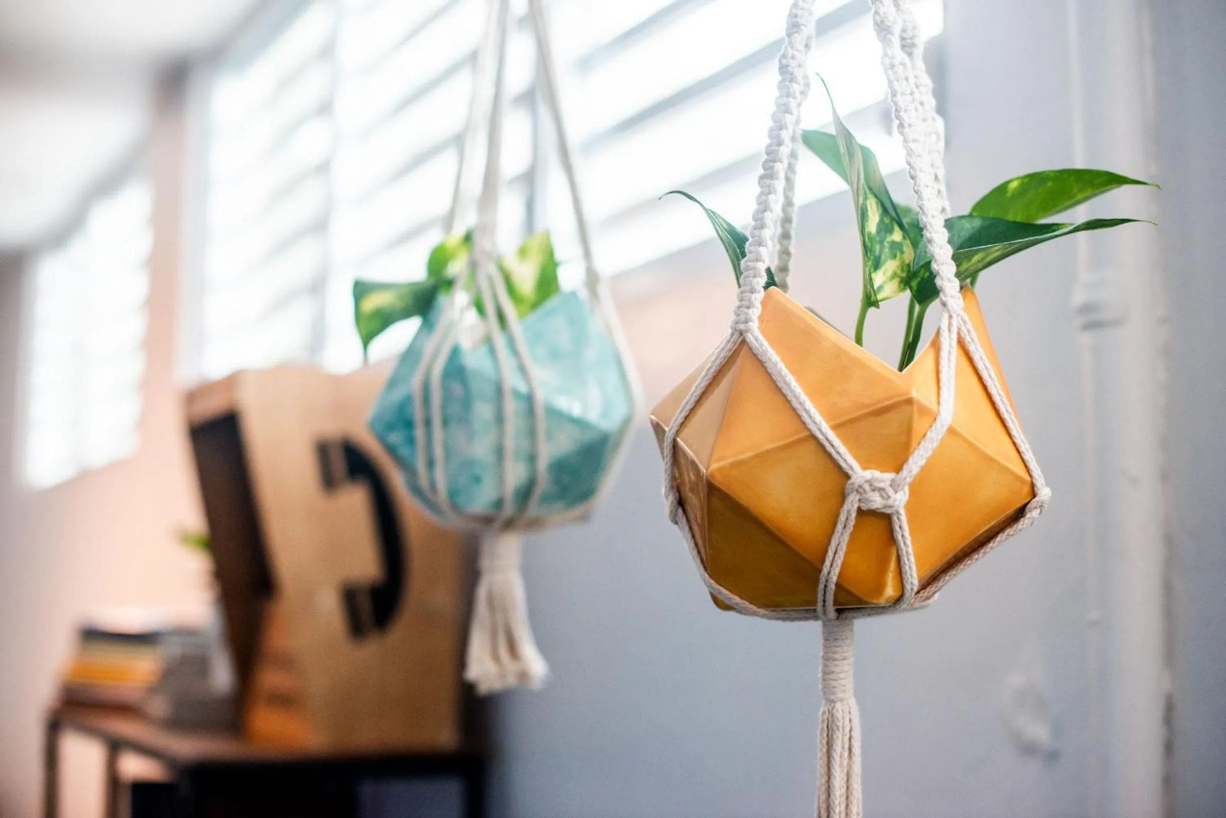 Decorative detail in Santurcia Hostel