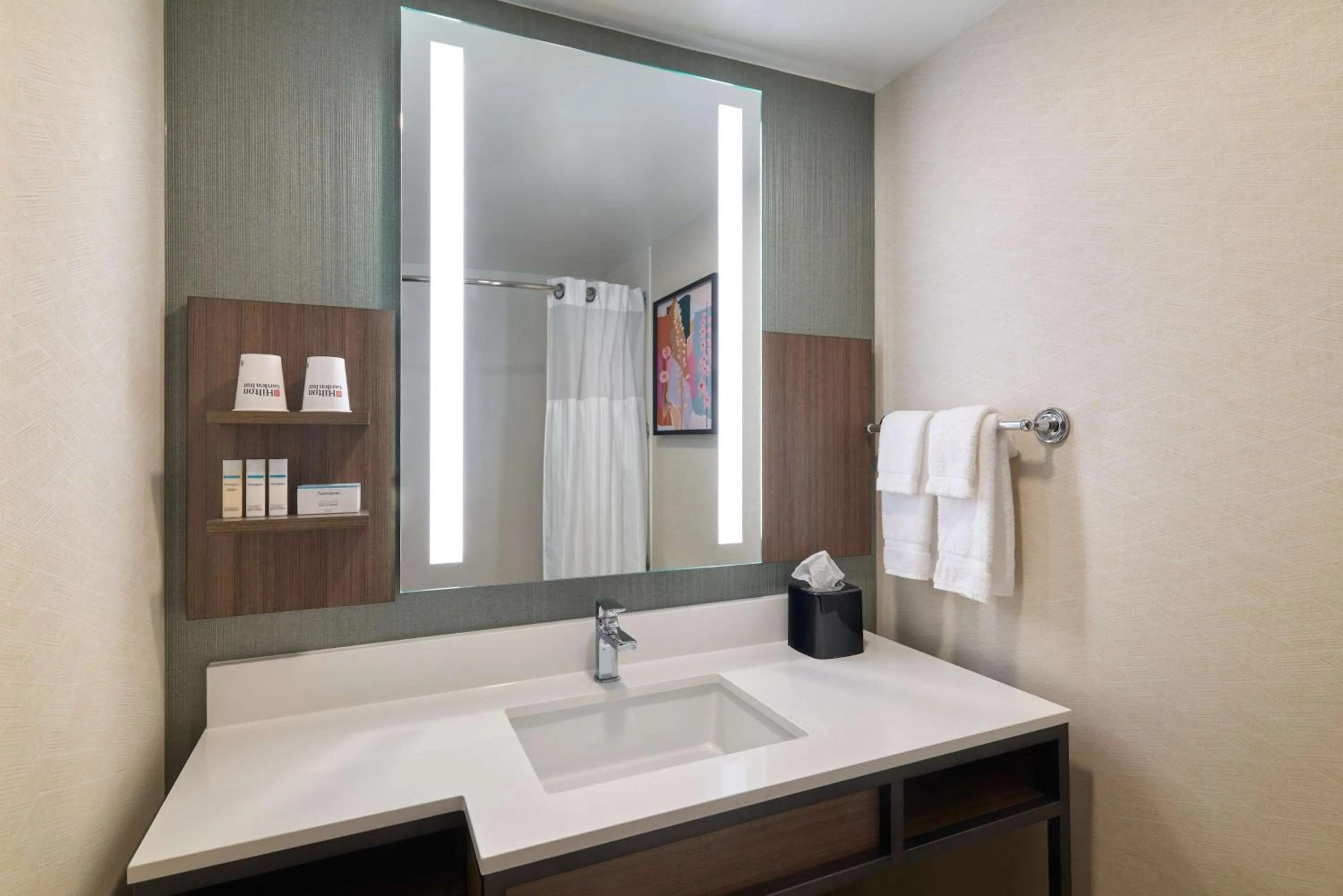 Bathroom in Hilton Garden Inn Bloomington