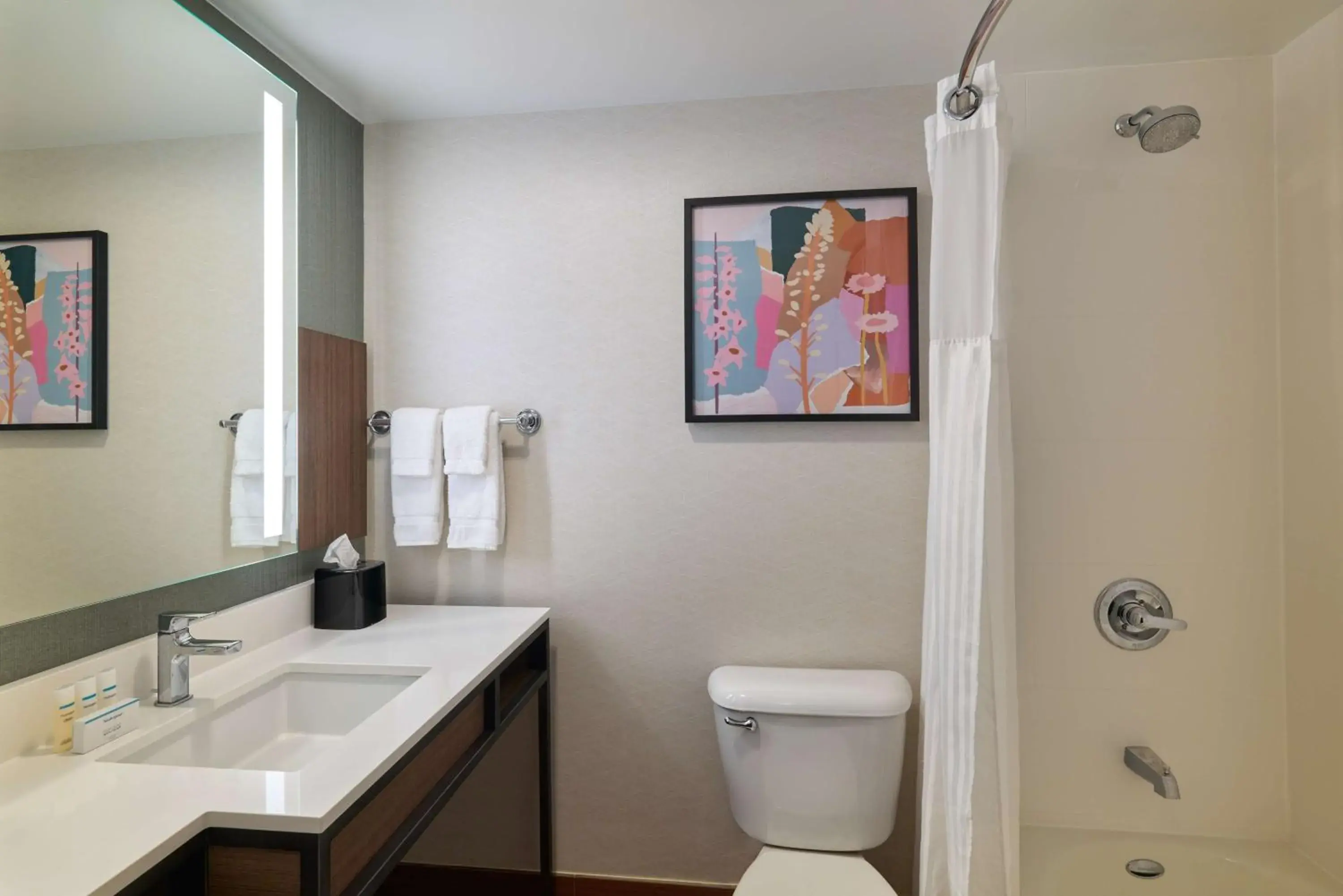 Bathroom in Hilton Garden Inn Bloomington Bathroom in Hilton Garden Inn Bloomington