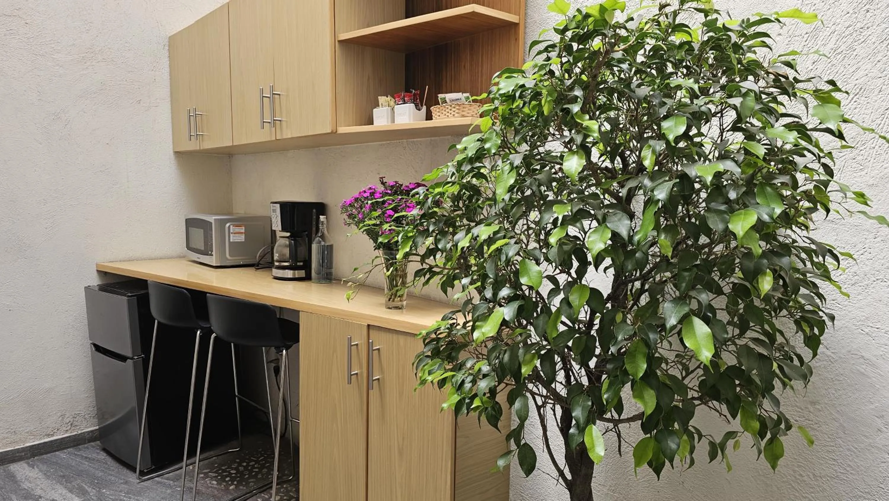 Kitchen or kitchenette in Hotel Casa Condesa Michoacan 113