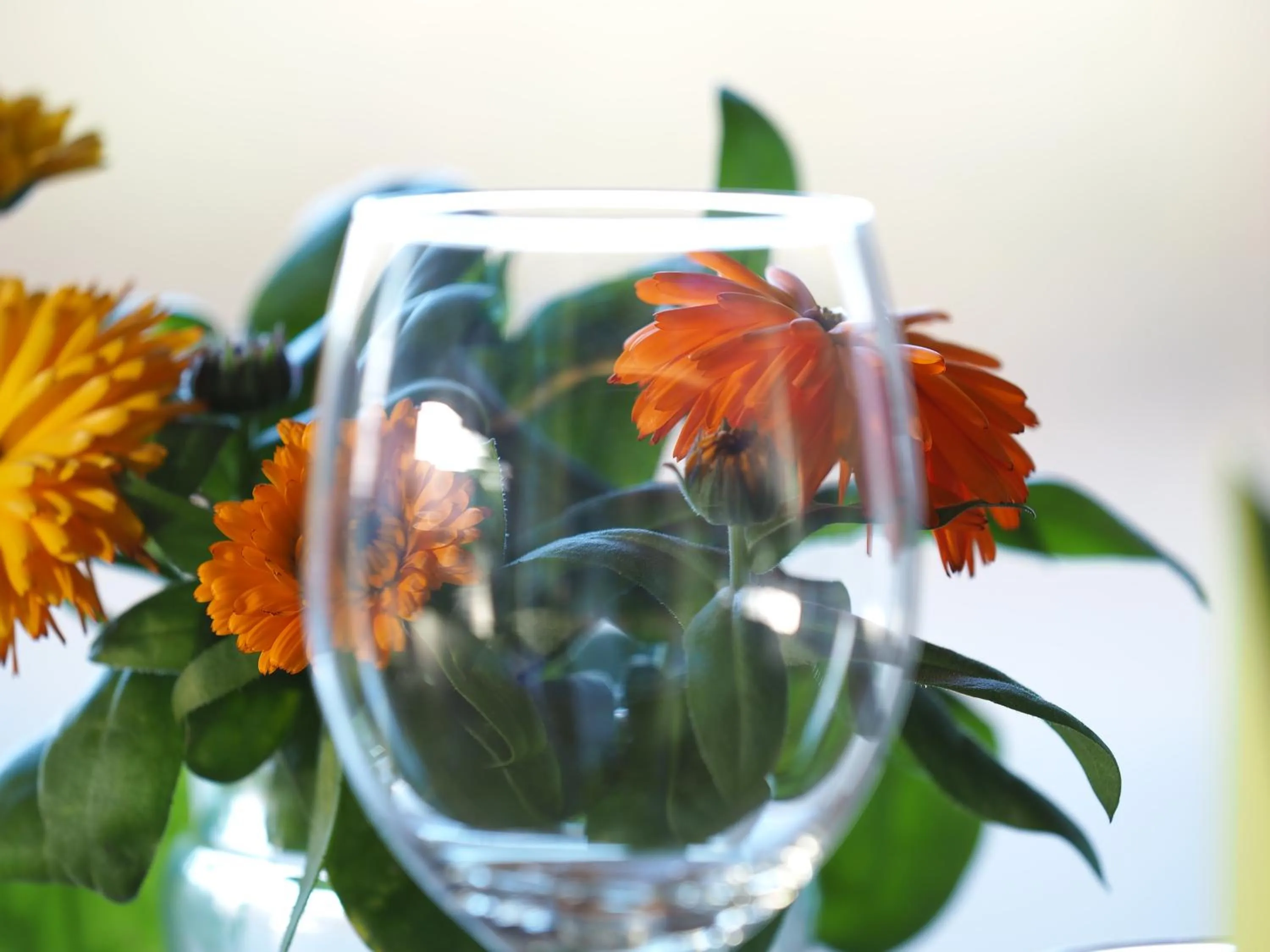 Restaurant/places to eat in Hotel Laxarbakki