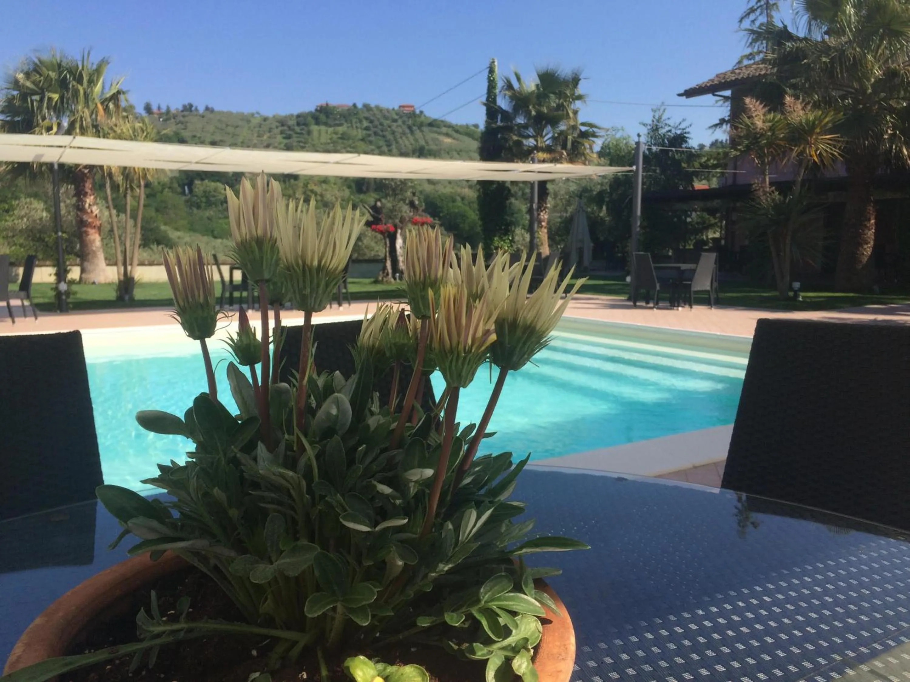 Pool view in Queen Hotel