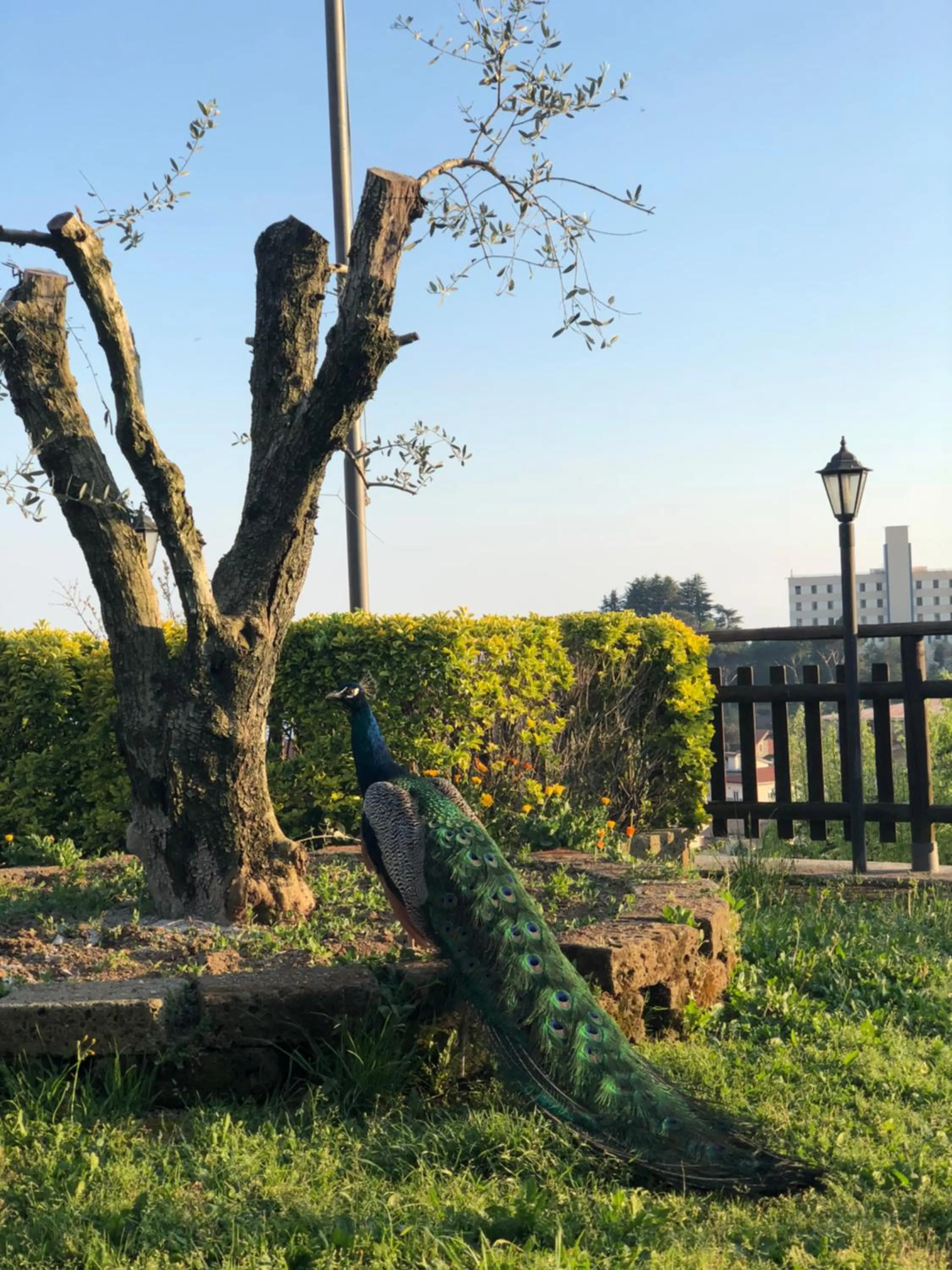 Natural landscape in Agriturismo La Baita