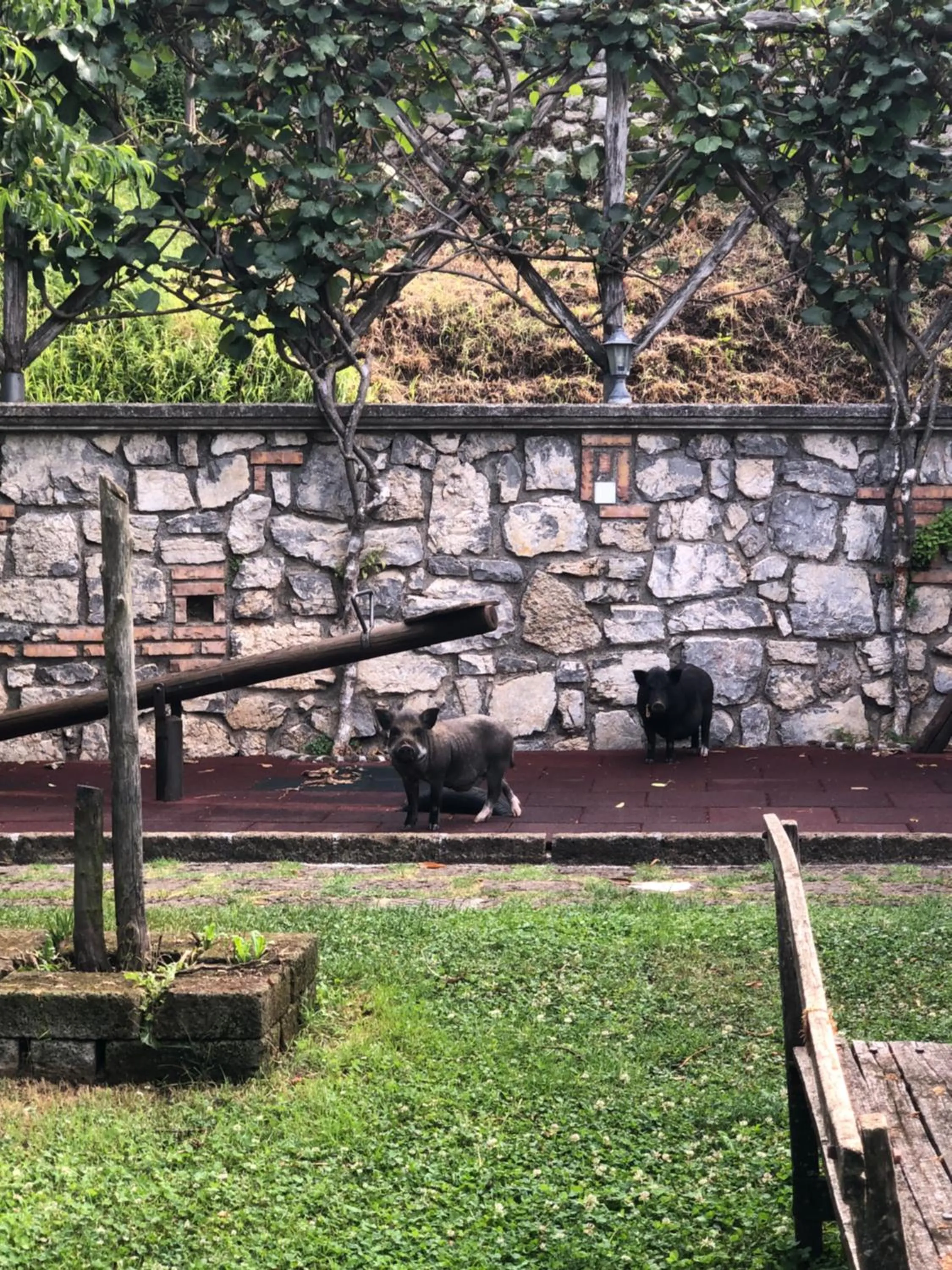 Garden in Agriturismo La Baita
