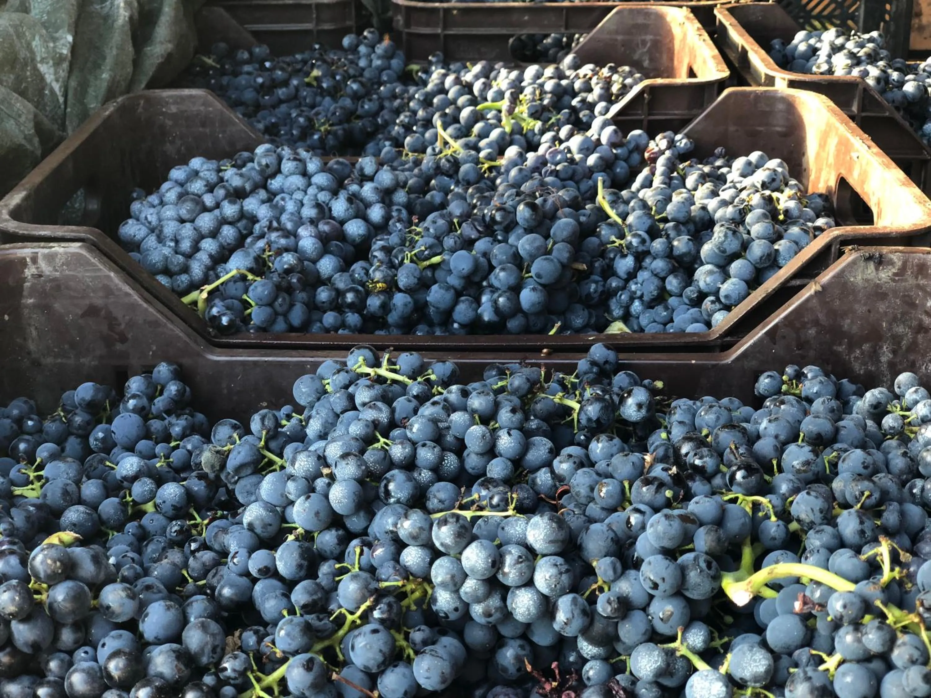 Food and drinks in Agriturismo La Baita