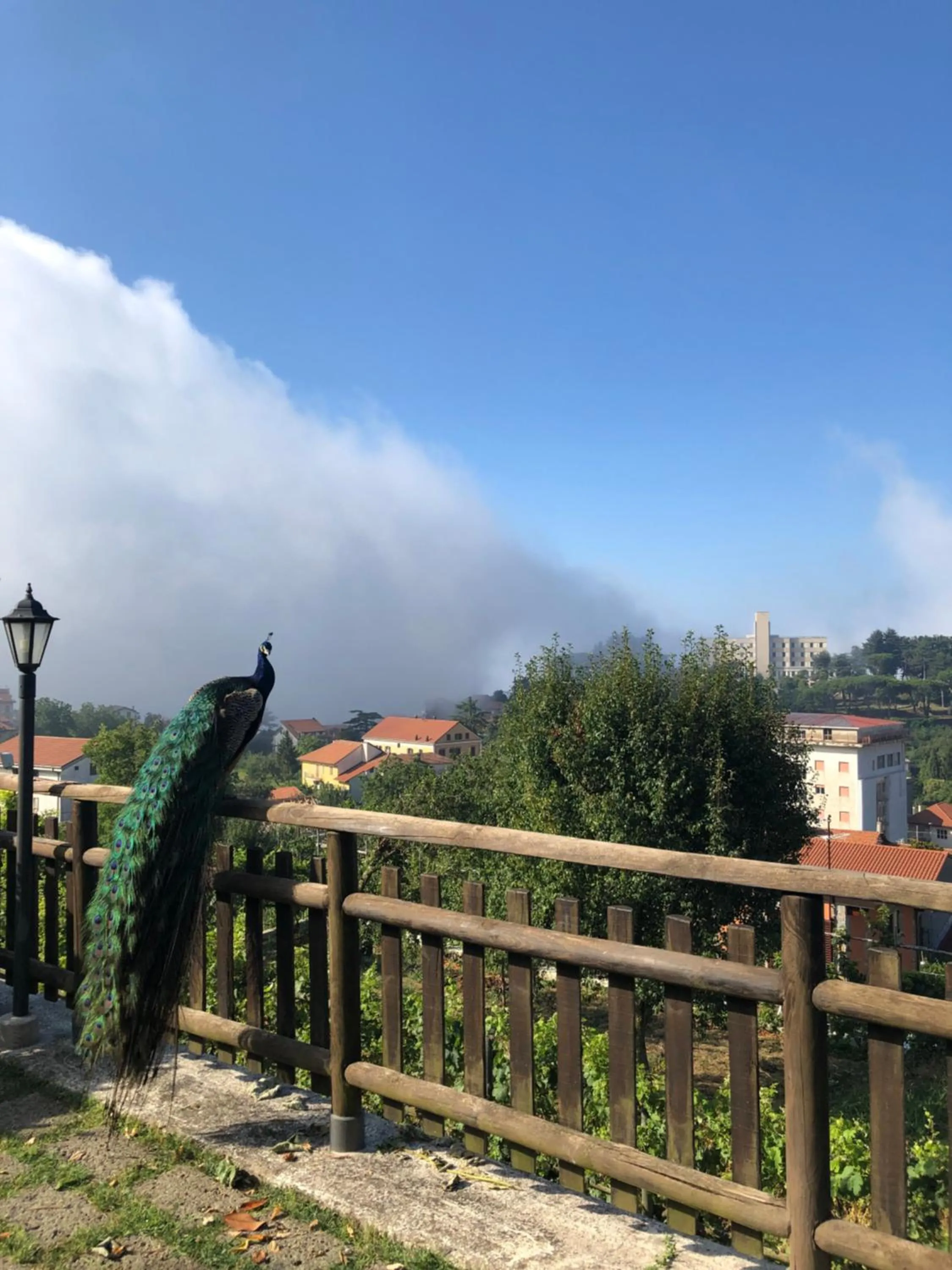 Natural landscape in Agriturismo La Baita