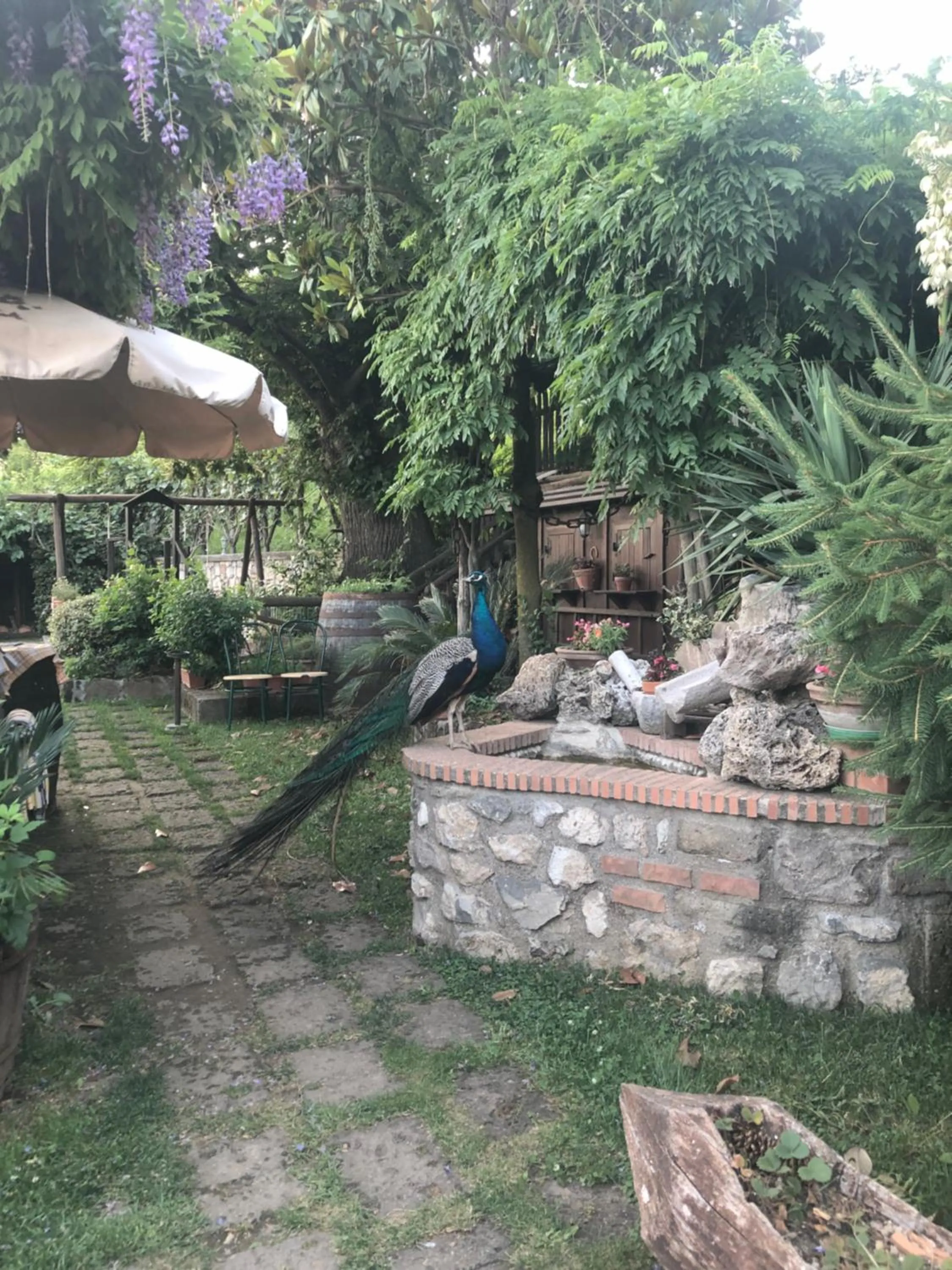 Garden in Agriturismo La Baita