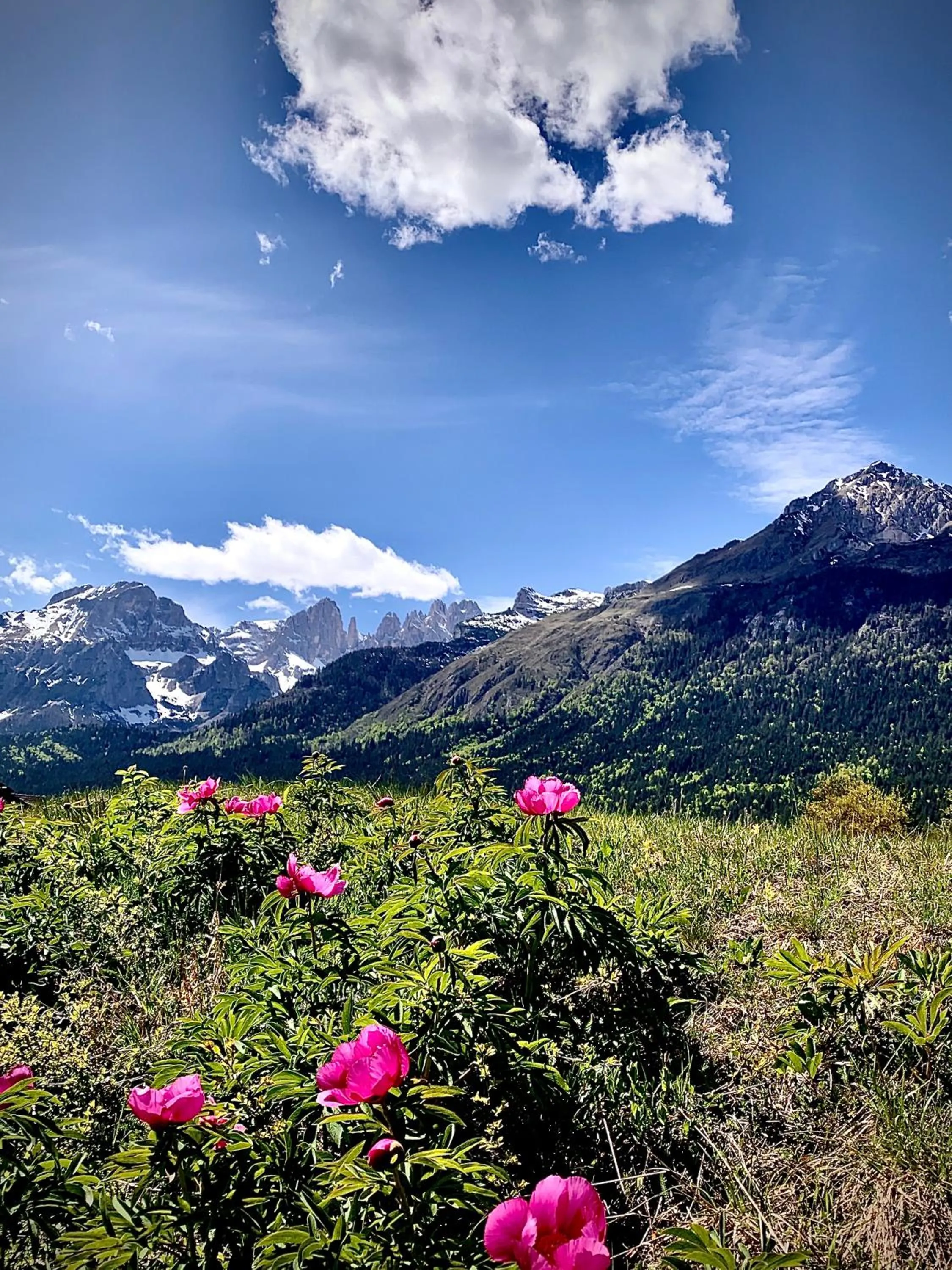 Natural landscape in Residence Cima Tosa