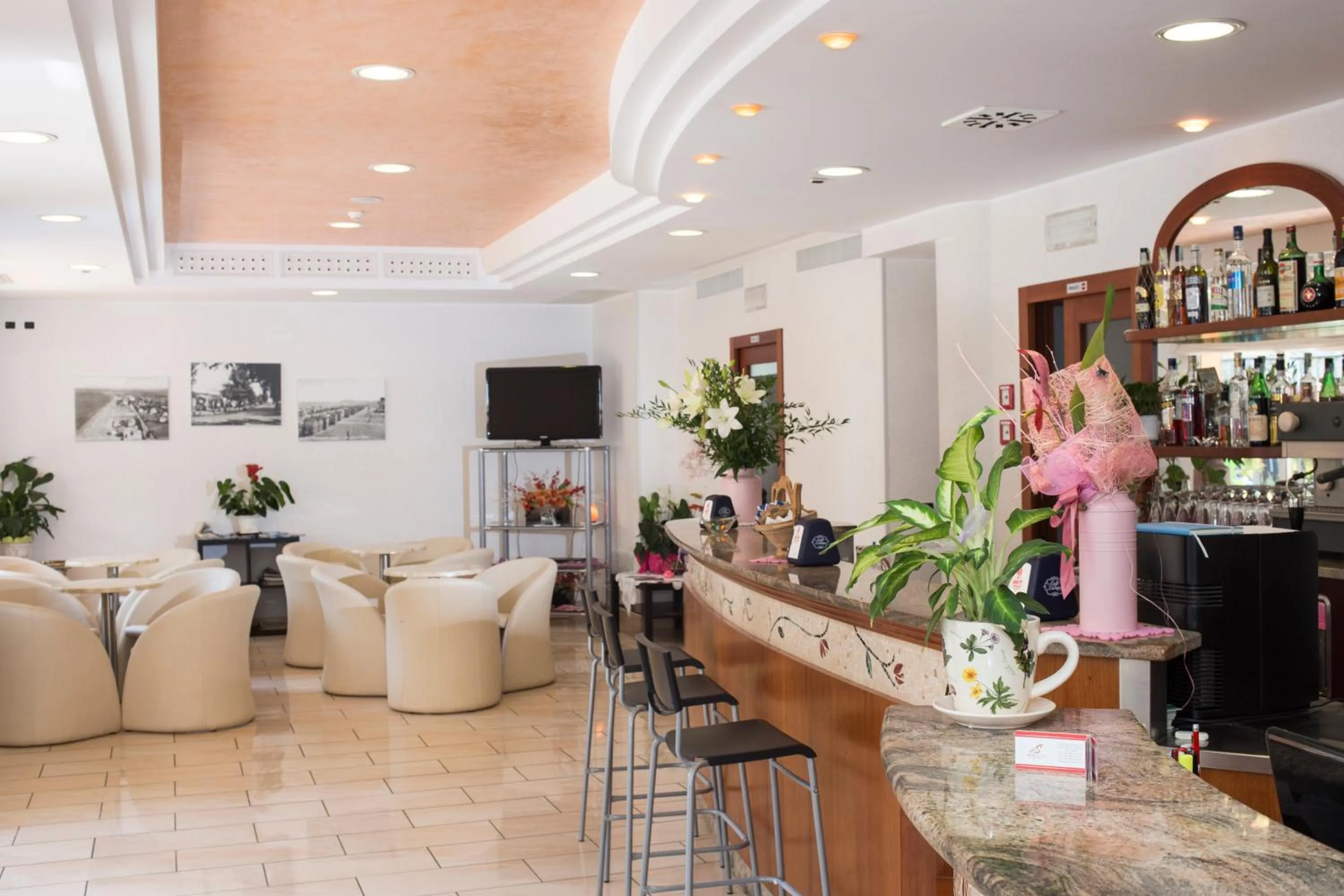 Communal lounge/ TV room in Hotel Silvia