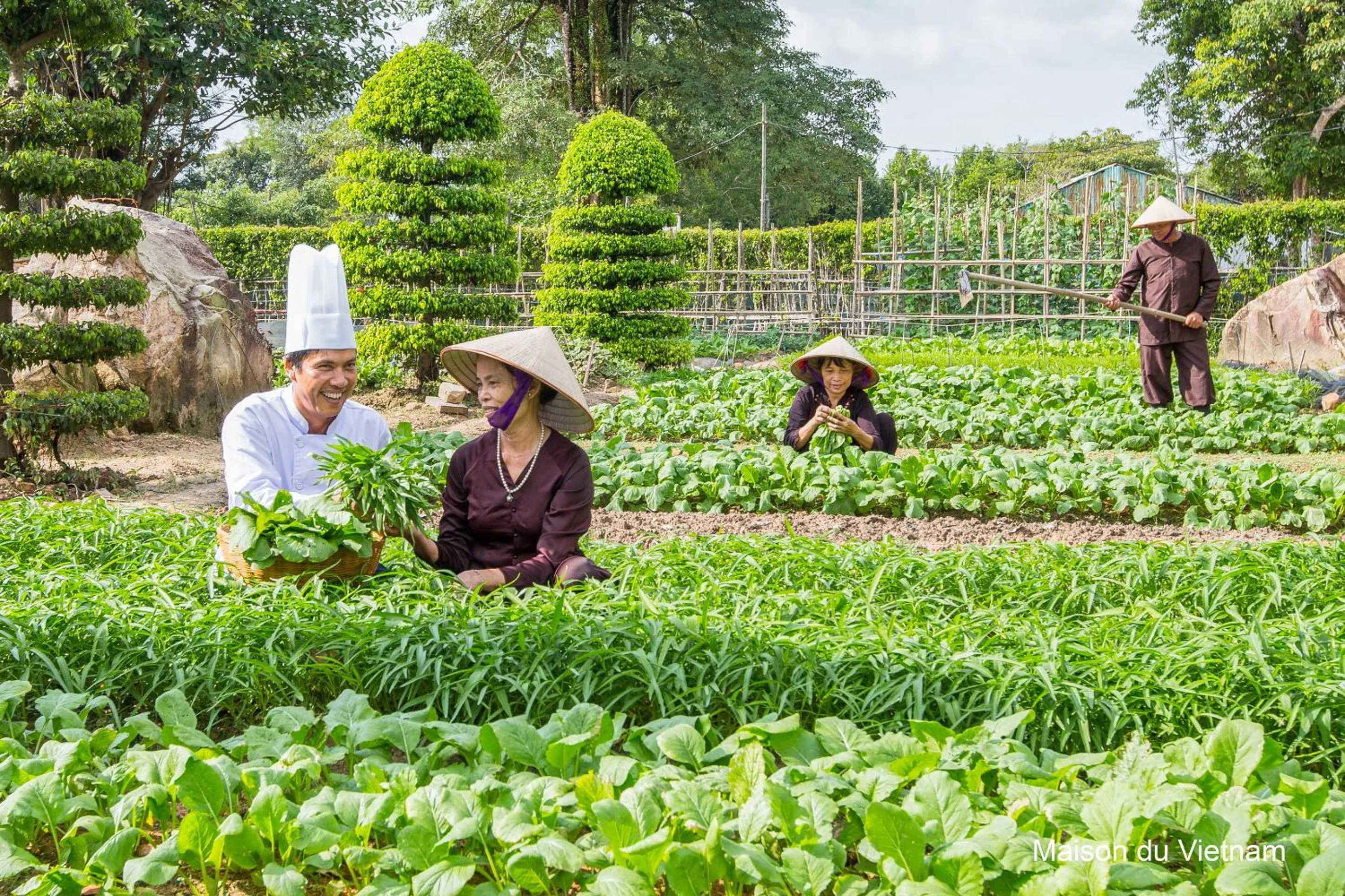 Activities in Maison Du VietNam Resort & Spa