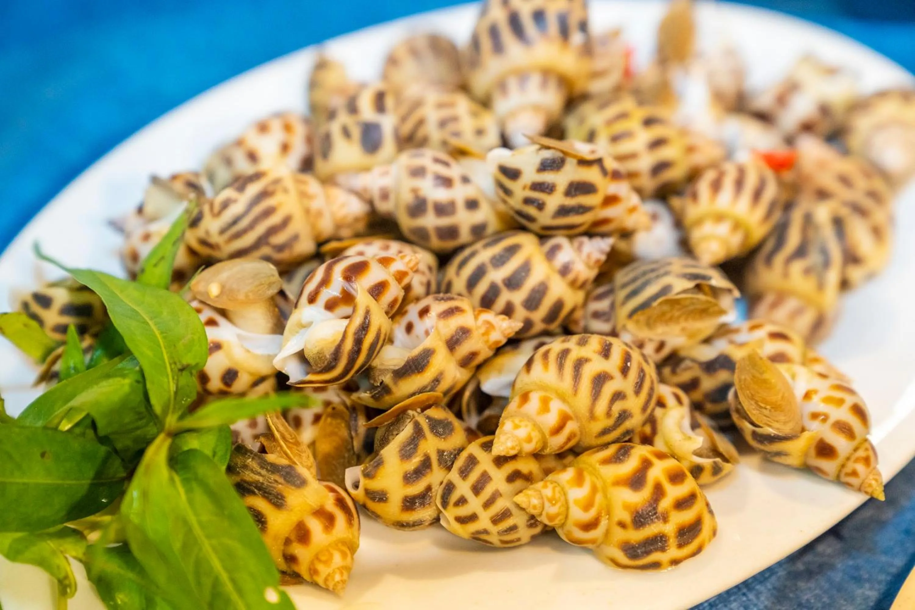 Restaurant/places to eat in Maison Du VietNam Resort & Spa