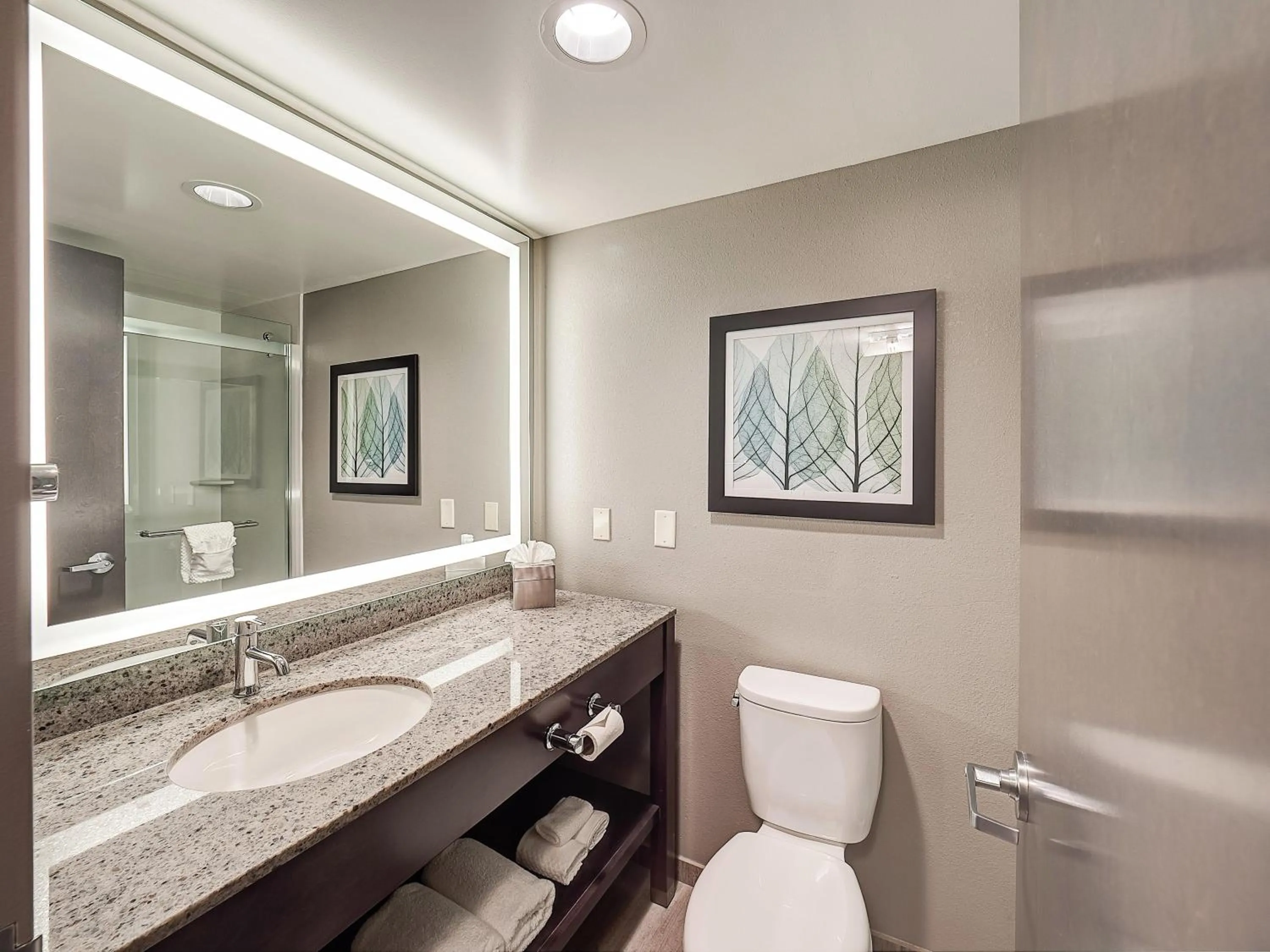 Bathroom in DoubleTree by Hilton Bloomington