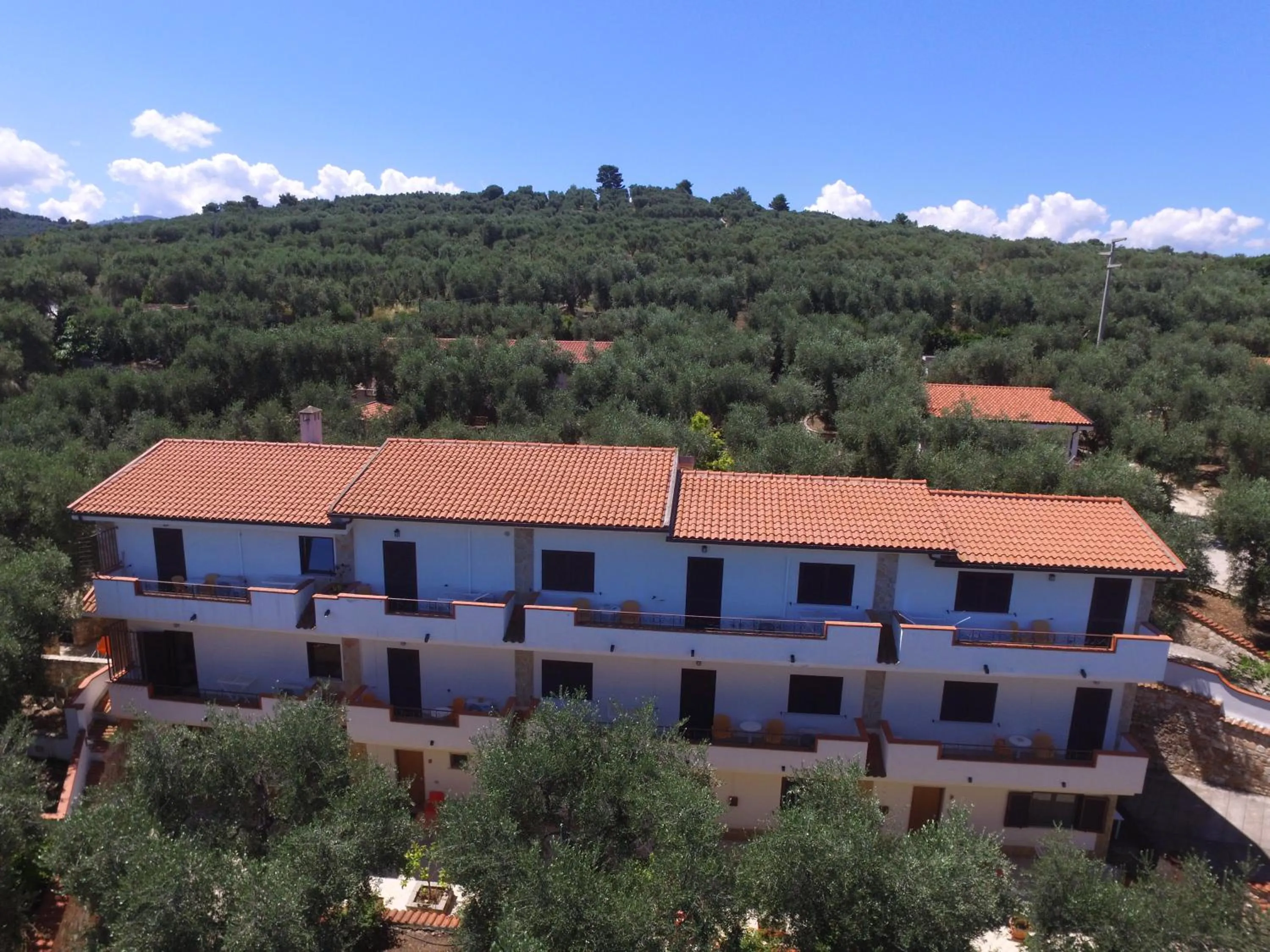 Balcony/Terrace in Zagare Residence
