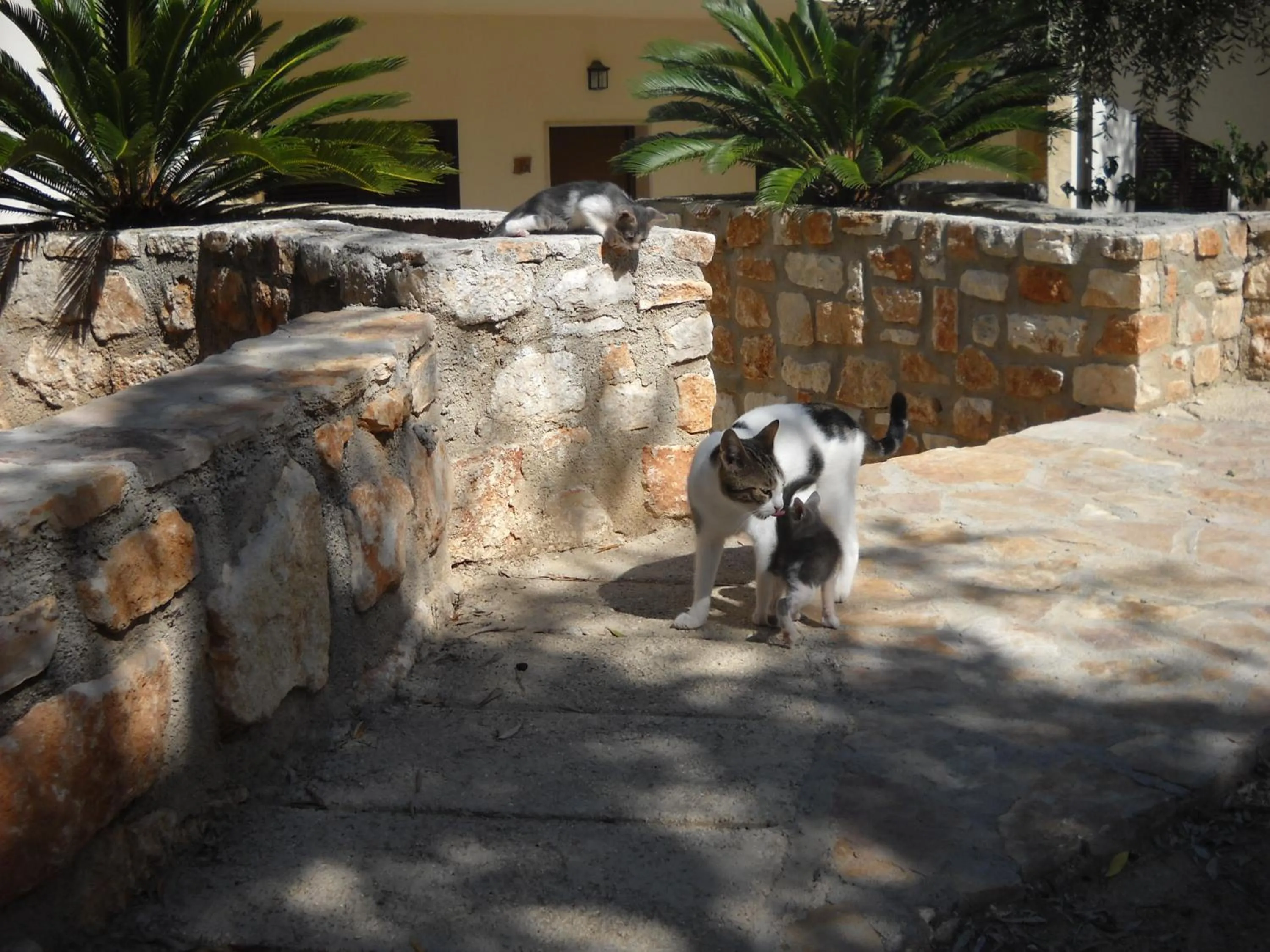 Other in Zagare Residence