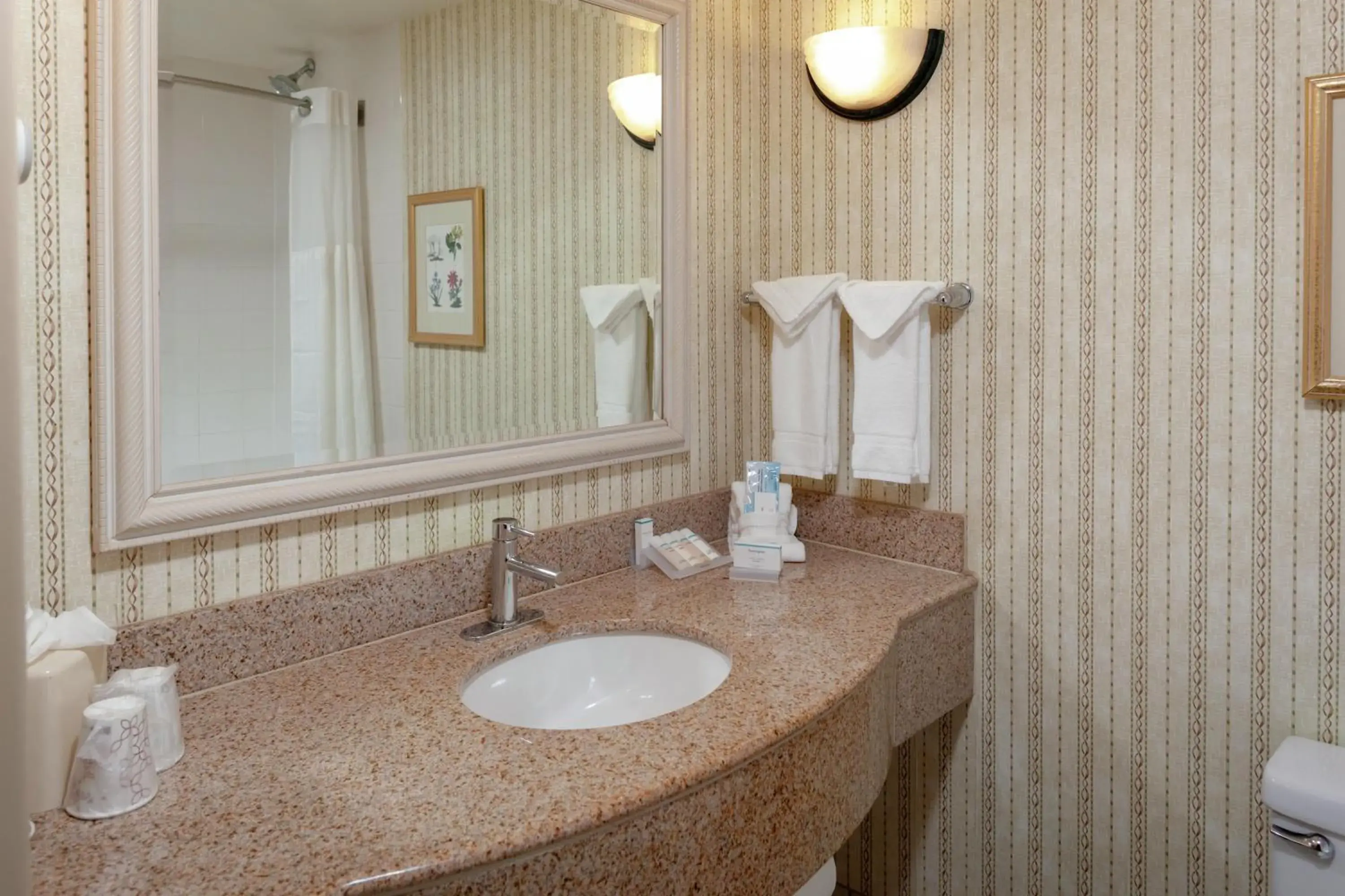 Bathroom in Hilton Garden Inn Charlotte North Bathroom in Hilton Garden Inn Charlotte North