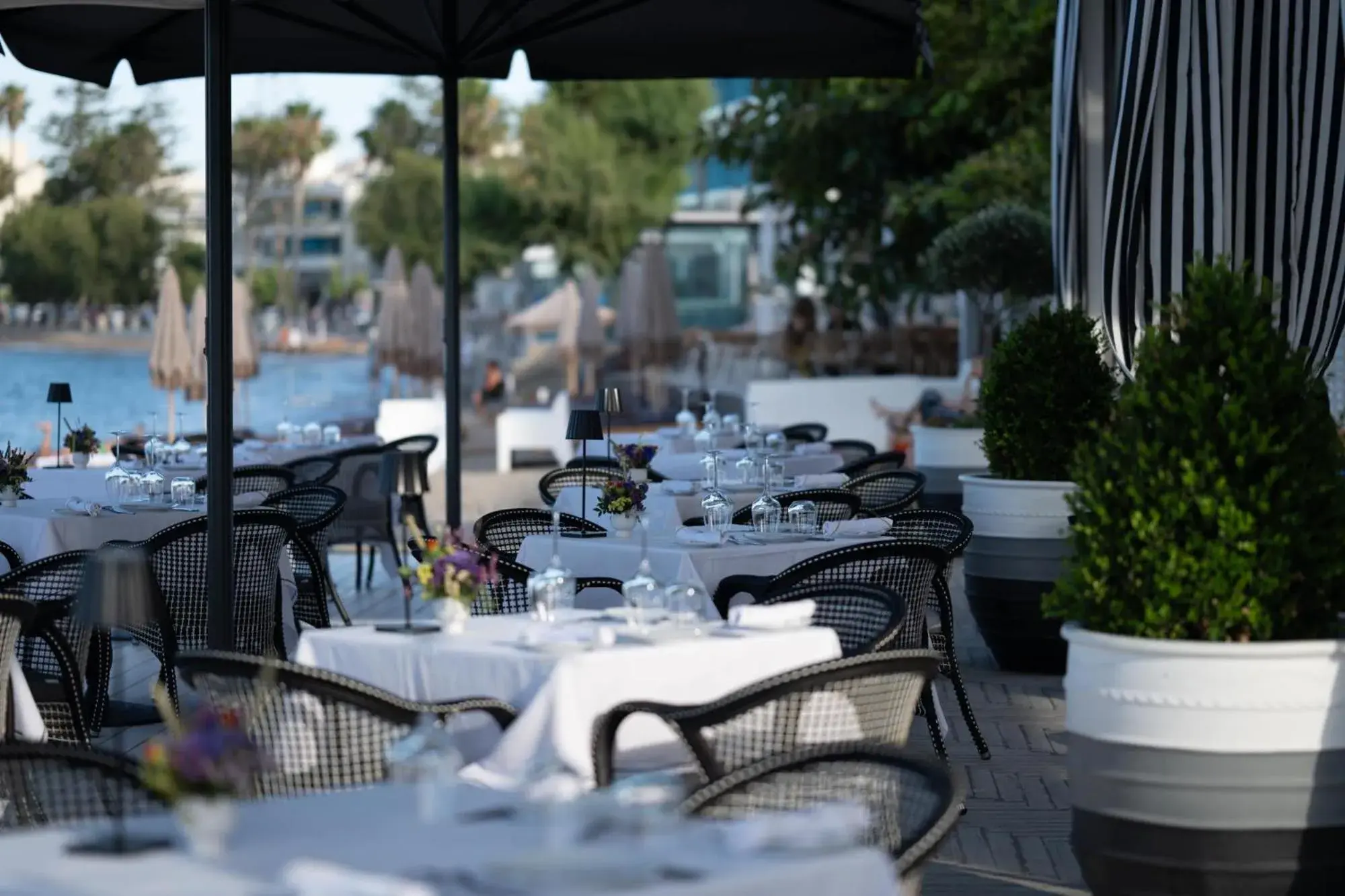 Restaurant/places to eat in Albergo Gelsomino Restaurant/places to eat in Albergo Gelsomino