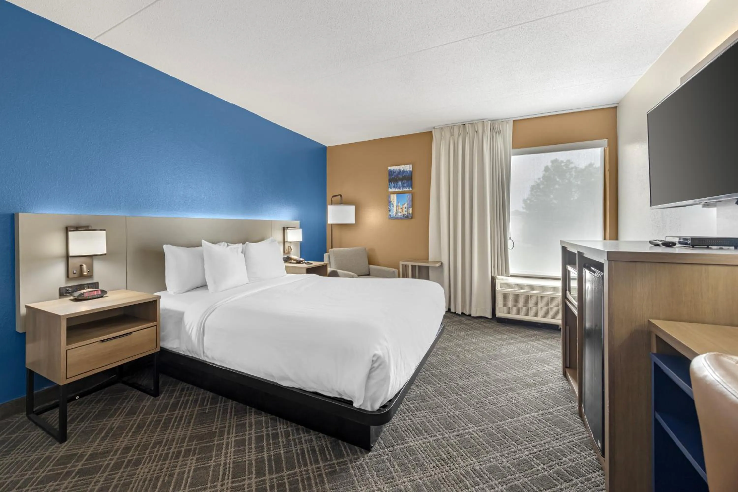 Bedroom, Bed in Comfort Inn Chattanooga Downtown Southside