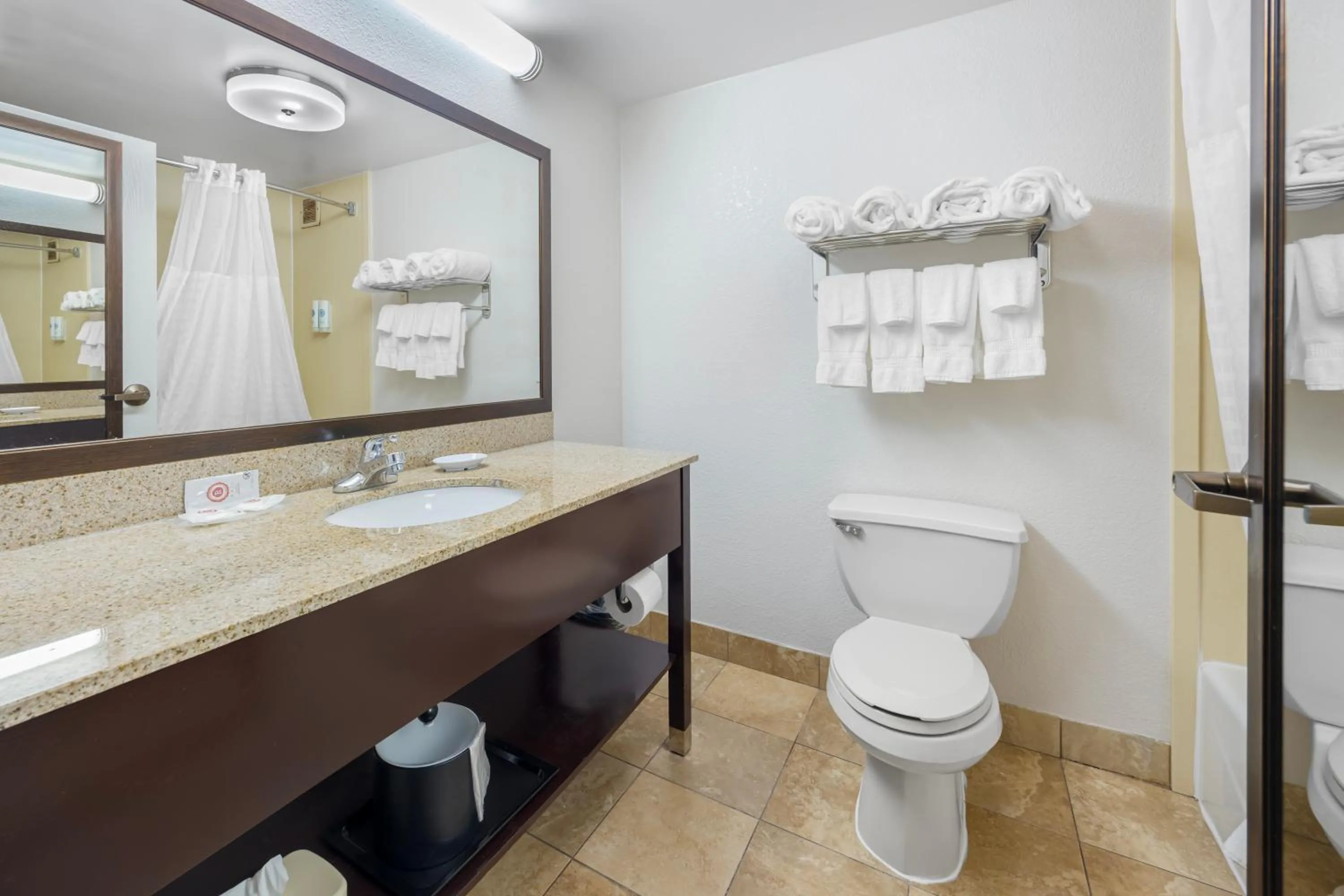 Bathroom in Comfort Inn Chattanooga Downtown Southside