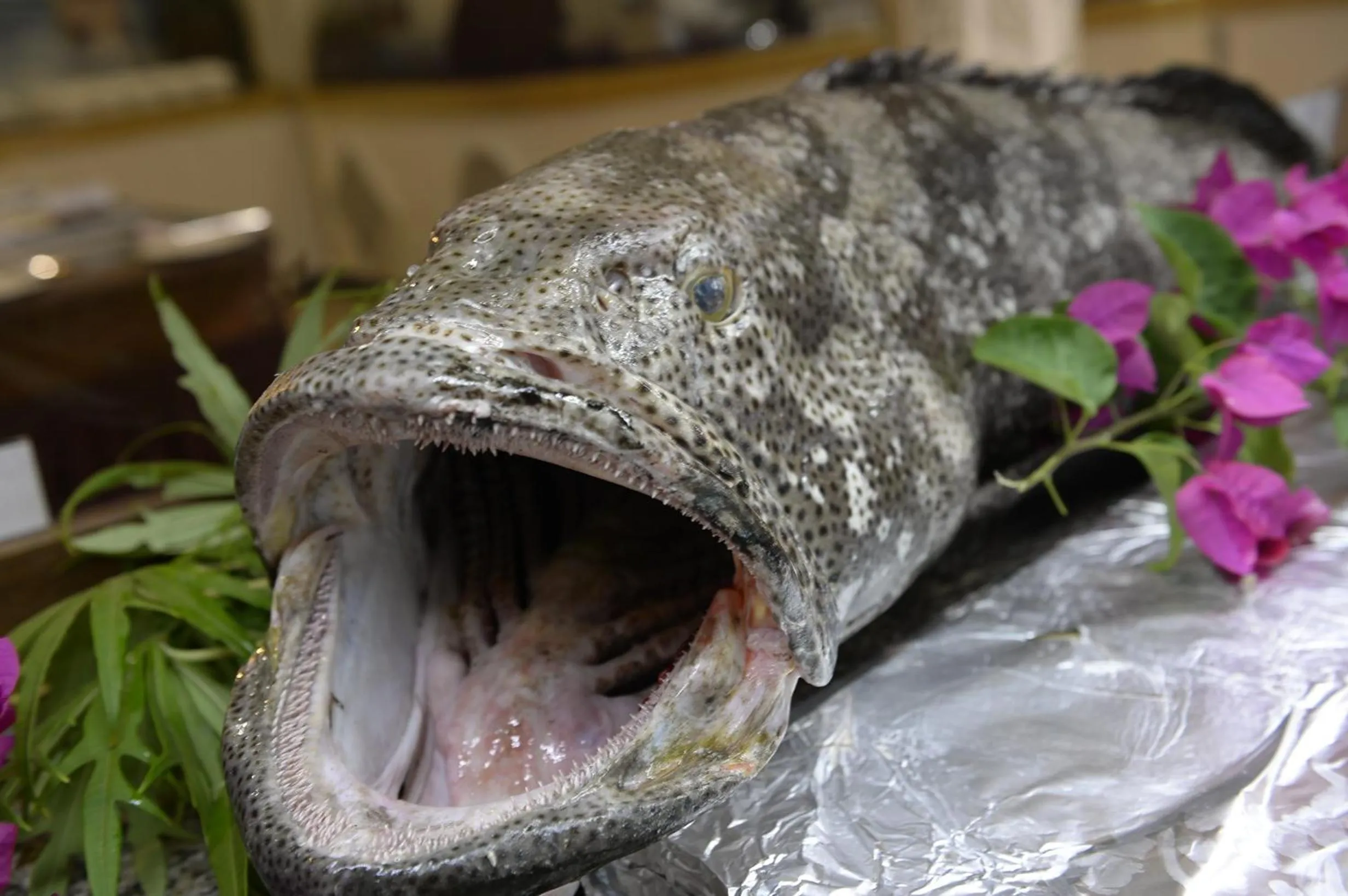 Food in Uroa Bay Beach Resort