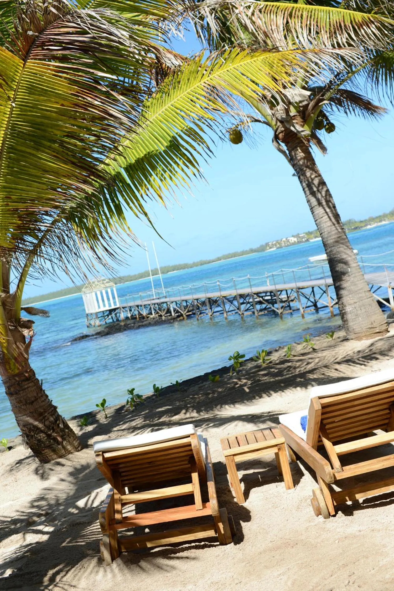 Beach in Tropical Attitude (Adults Only)