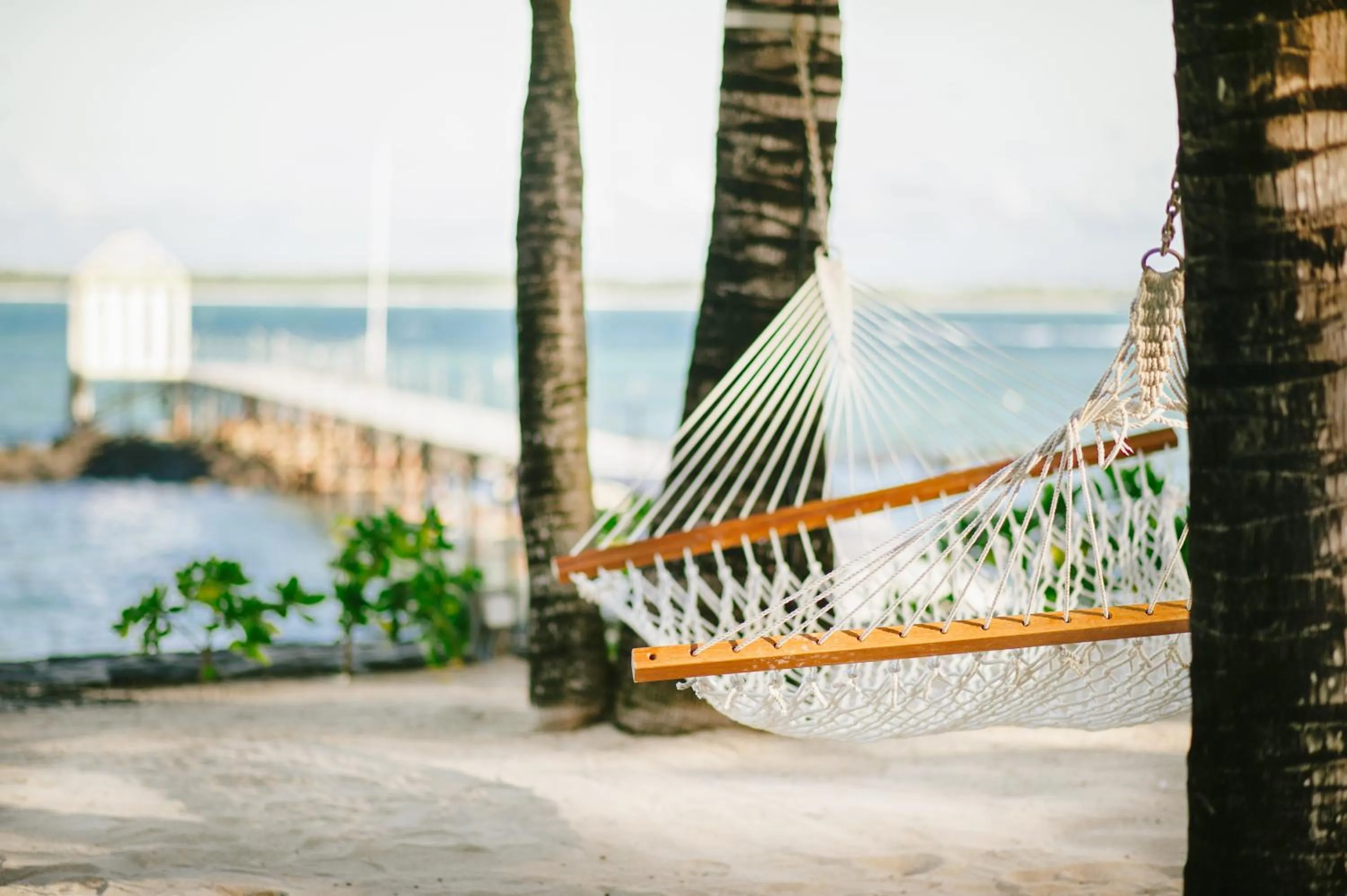 Beach in Tropical Attitude (Adults Only)