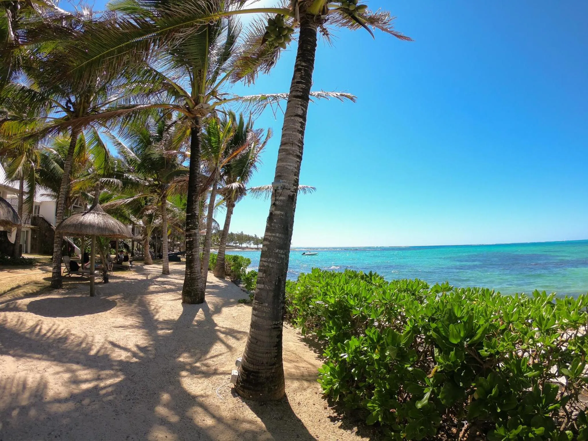 Natural landscape in Tropical Attitude (Adults Only)