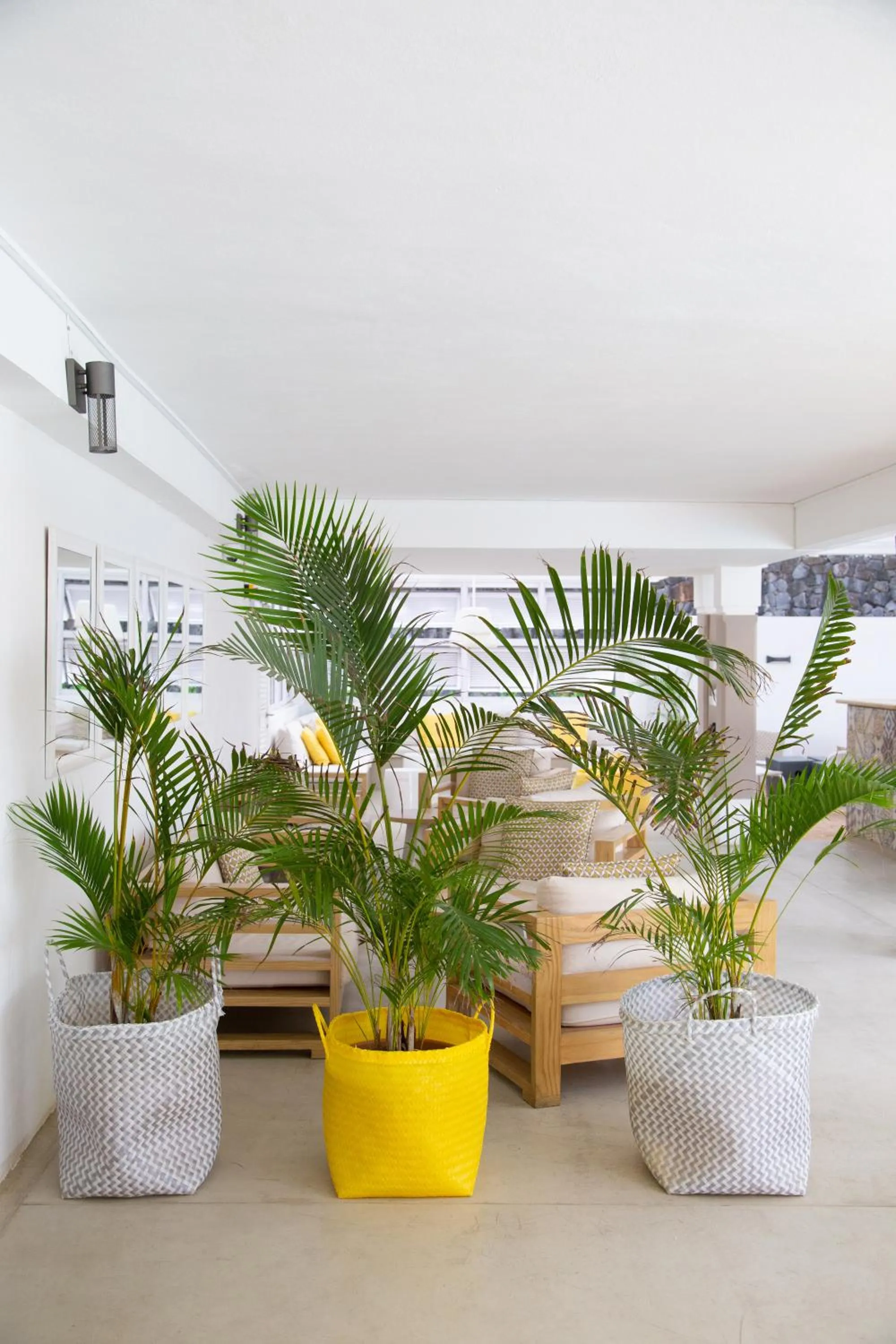 Lobby or reception in Tropical Attitude (Adults Only)