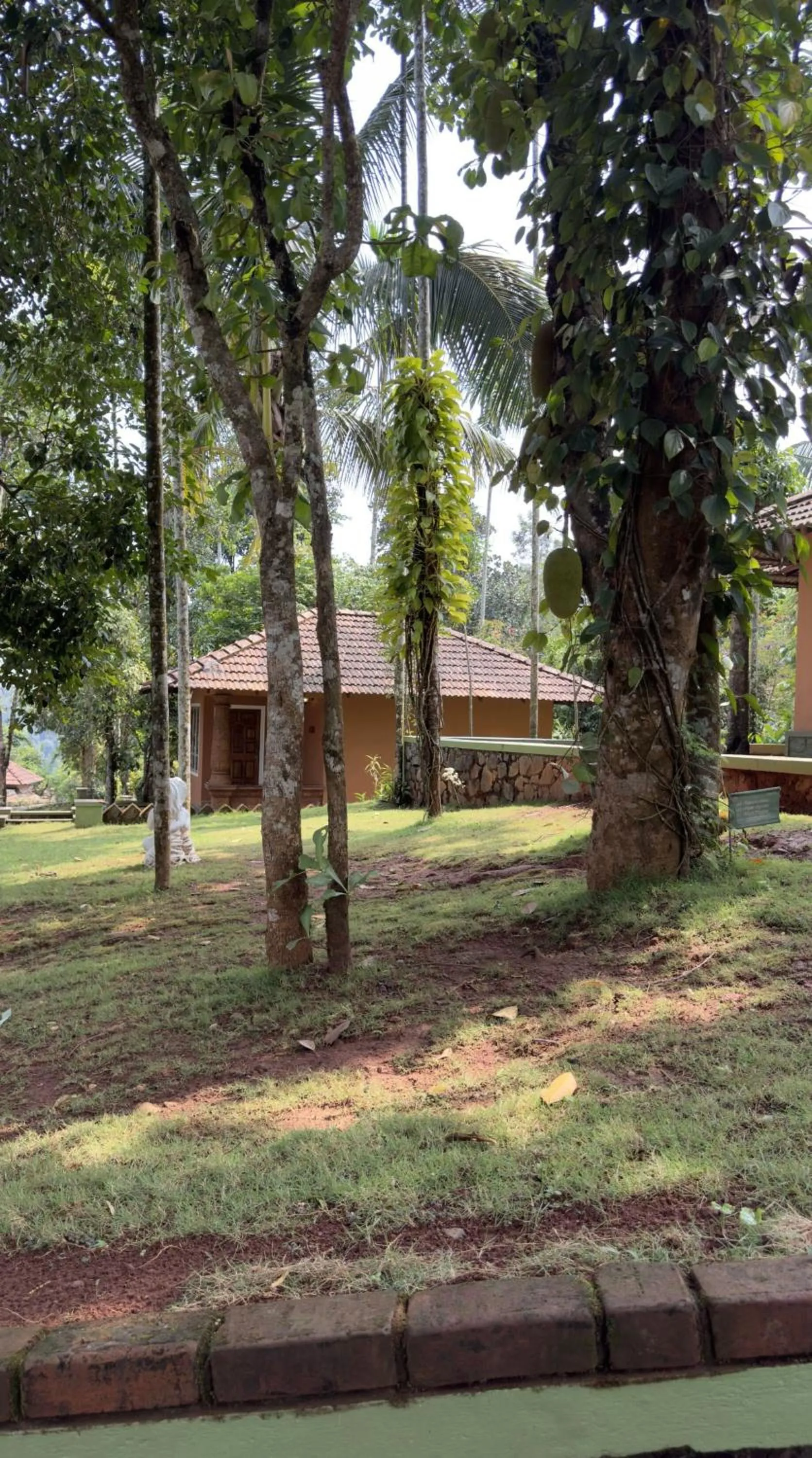 Property building in Indeevara Luxury Resort and Spa, Wayanad