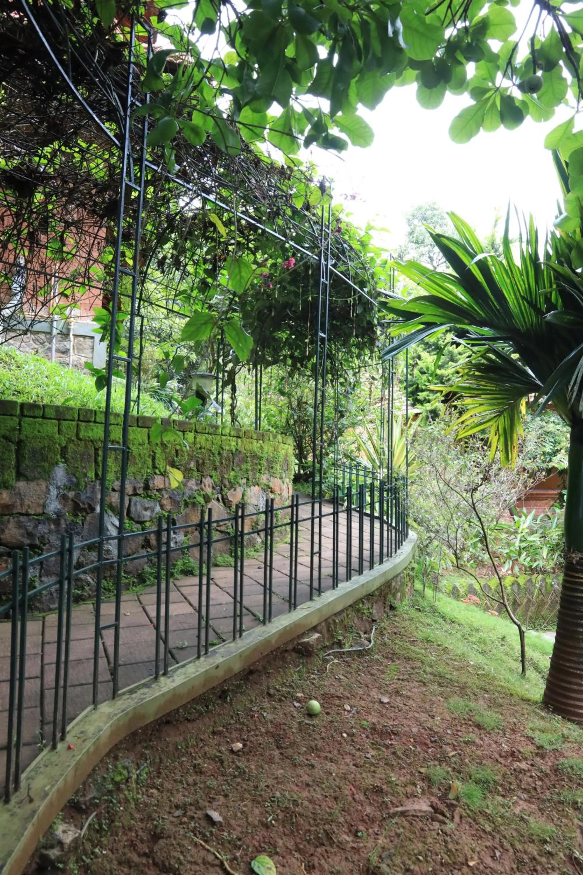 Other in Indeevara Luxury Resort and Spa, Wayanad